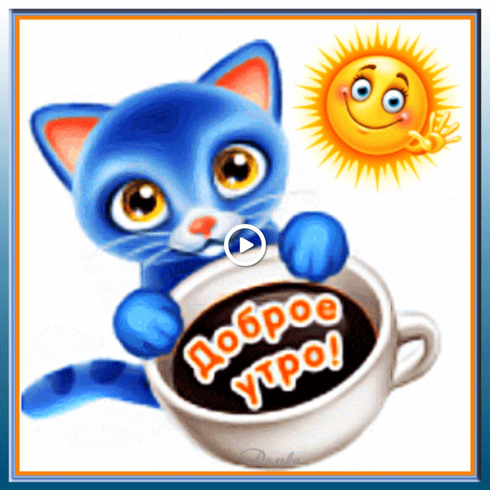 A postcard on the subject of good morning kitten a cup for free