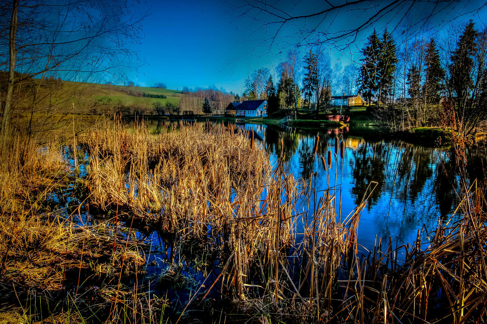 Free photo Screensaver, lake, trees