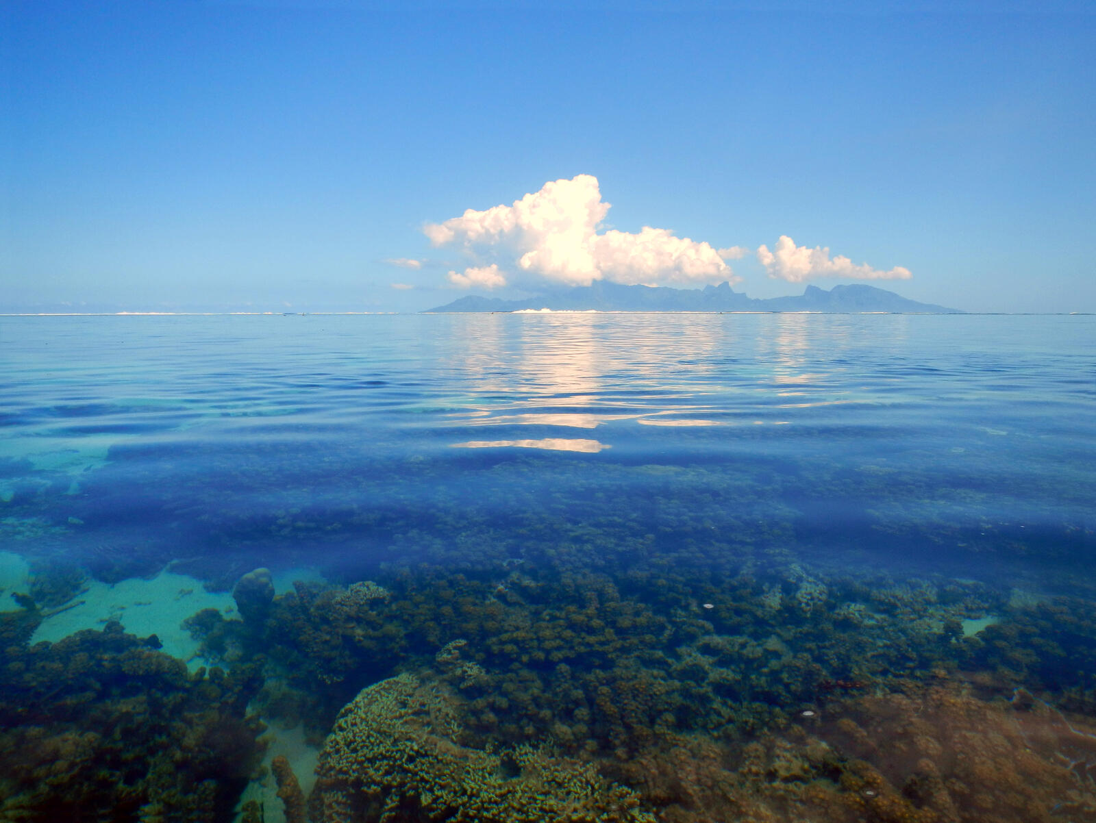 Бесплатное фото Море облака рифы