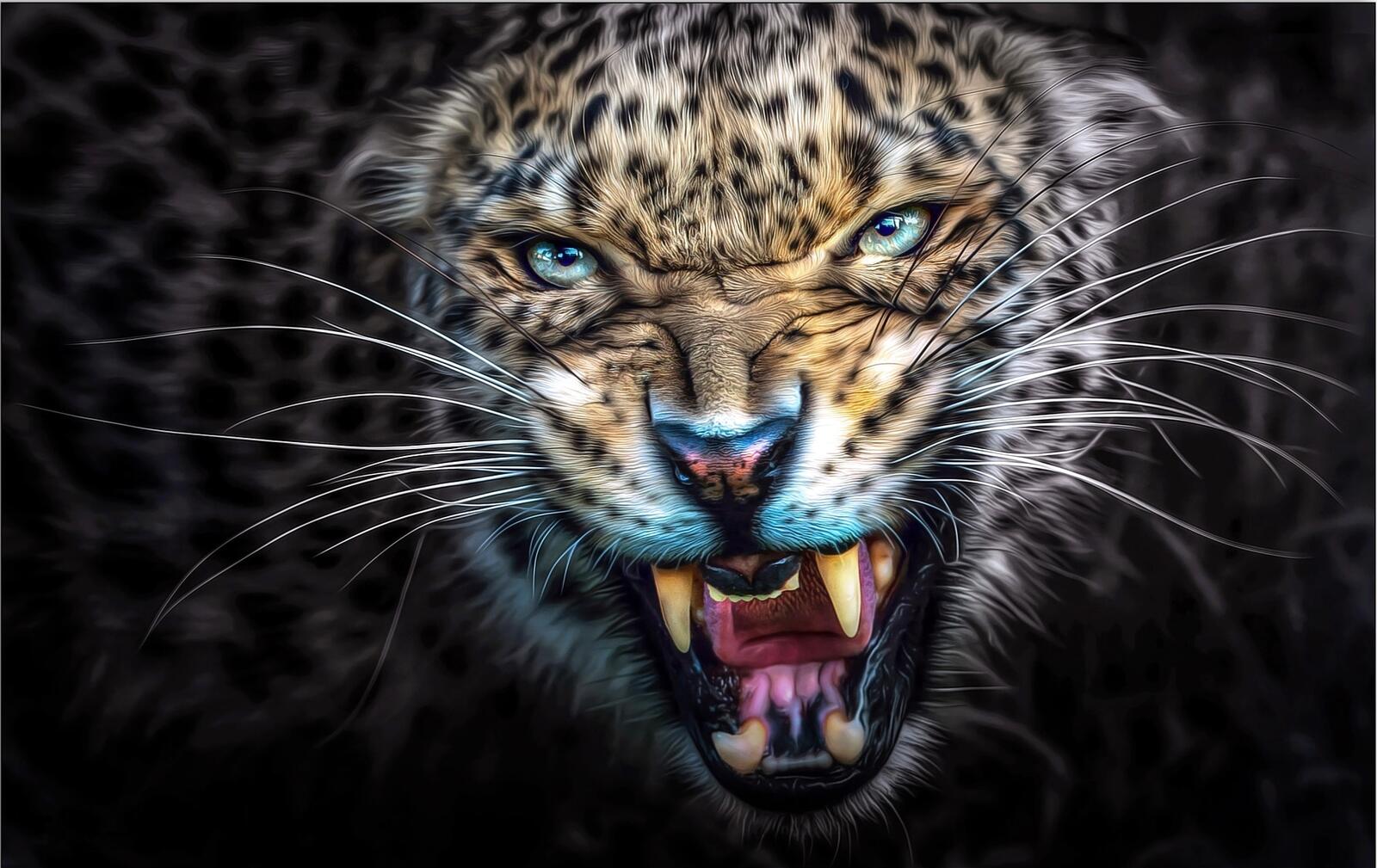 Wallpapers big cat rage mouth on the desktop