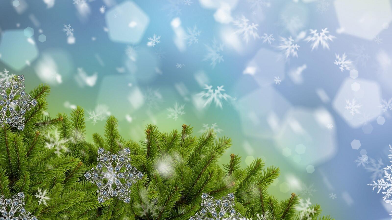 Wallpapers snowflakes winter branch on the desktop