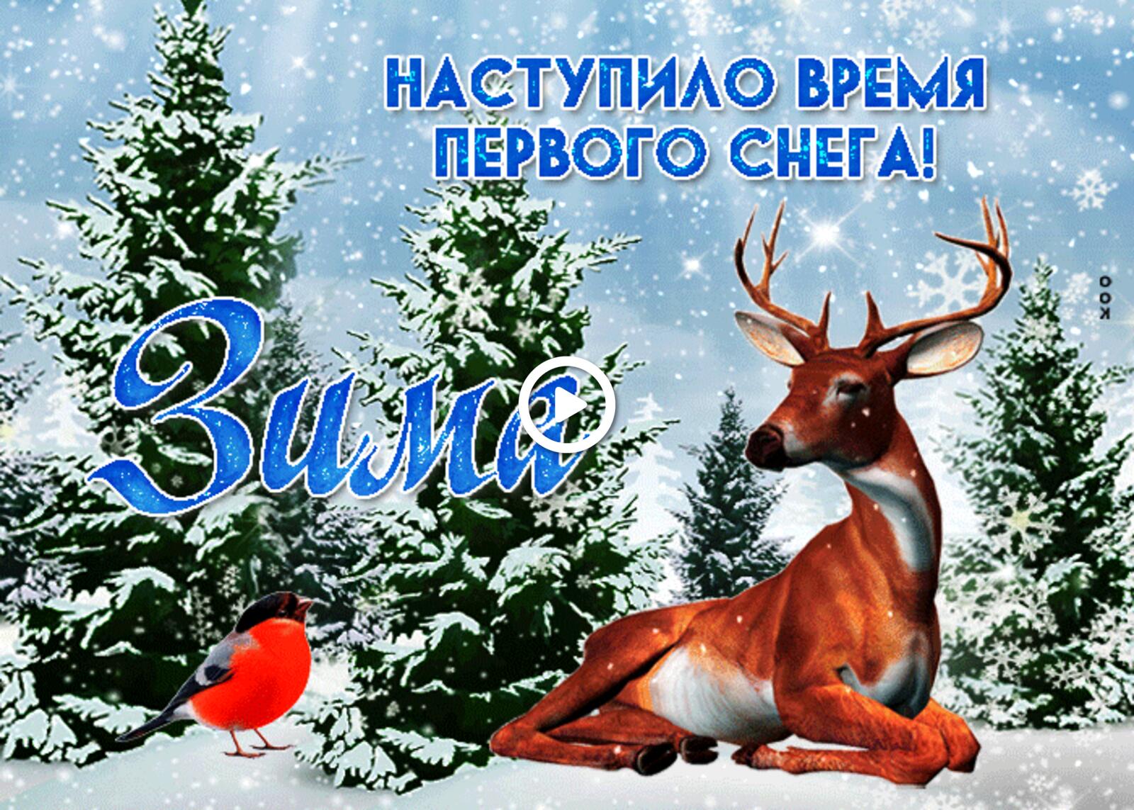 it`s time for the first snow deer winter