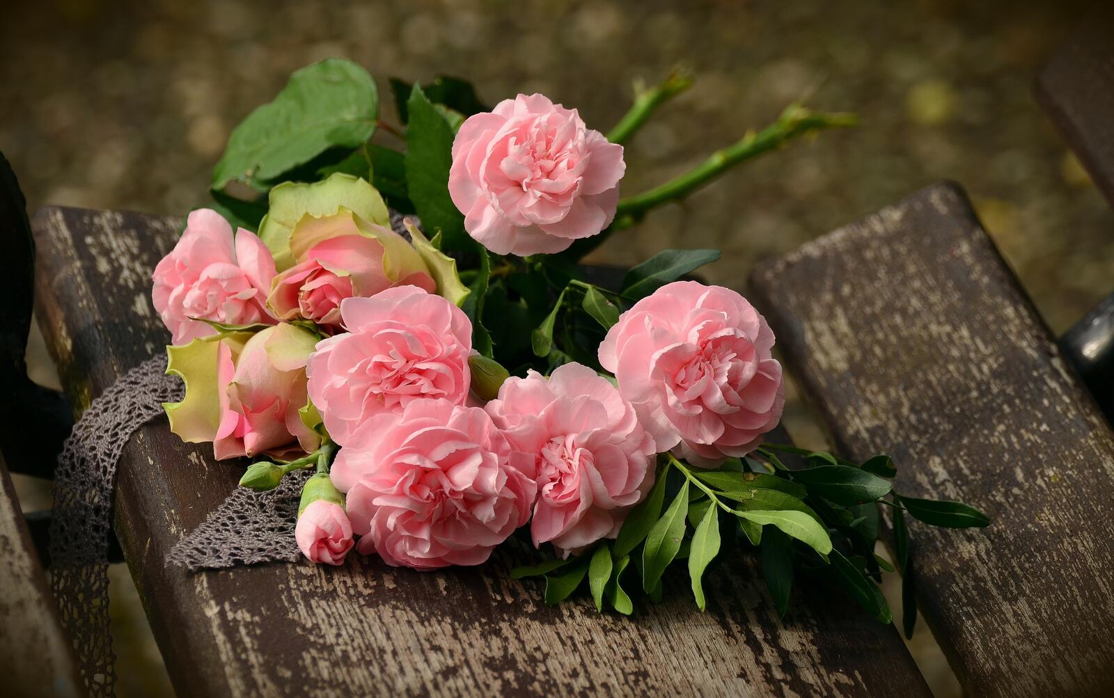 桌面上的壁纸爱 生日 玫瑰