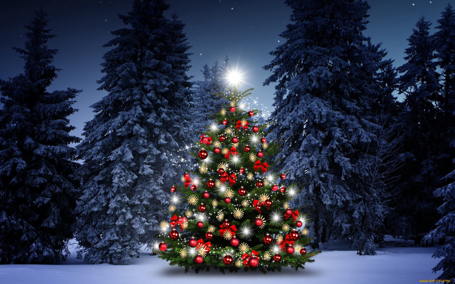 Wallpapers snow luminous christmas tree decorated christmas tree on the desktop