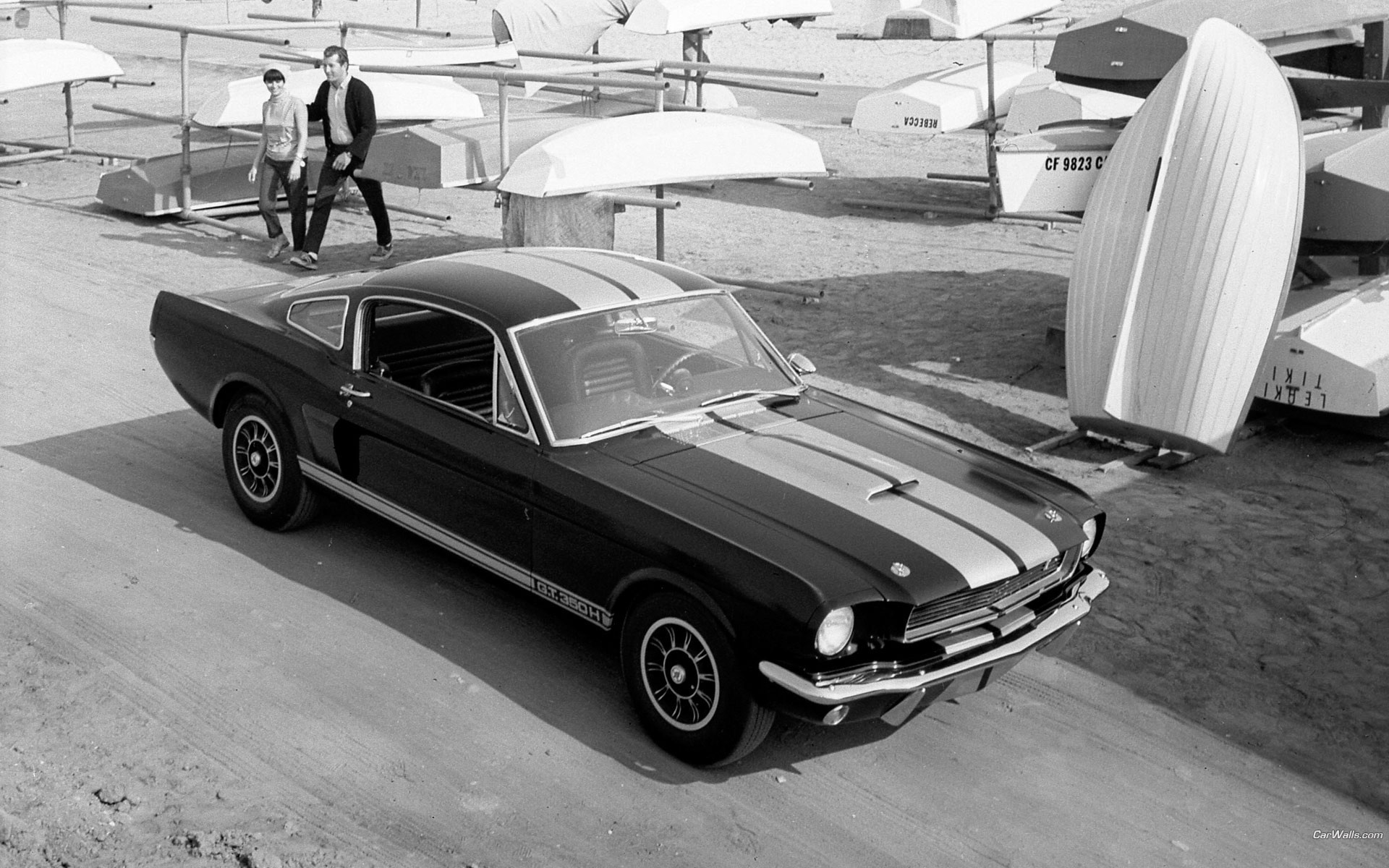 Wallpapers monochrome car Ford Mustang Shelby on the desktop