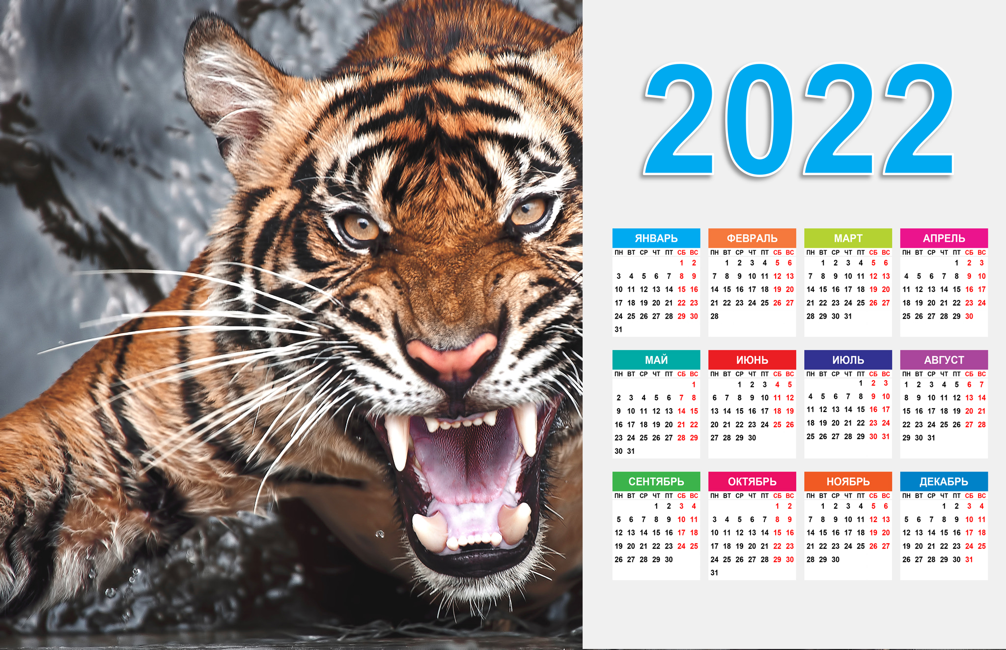 Обои хищная кошка календарь 2022 большая кошка на рабочий стол