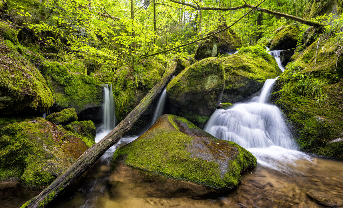 A waterfall in the Swiss forest