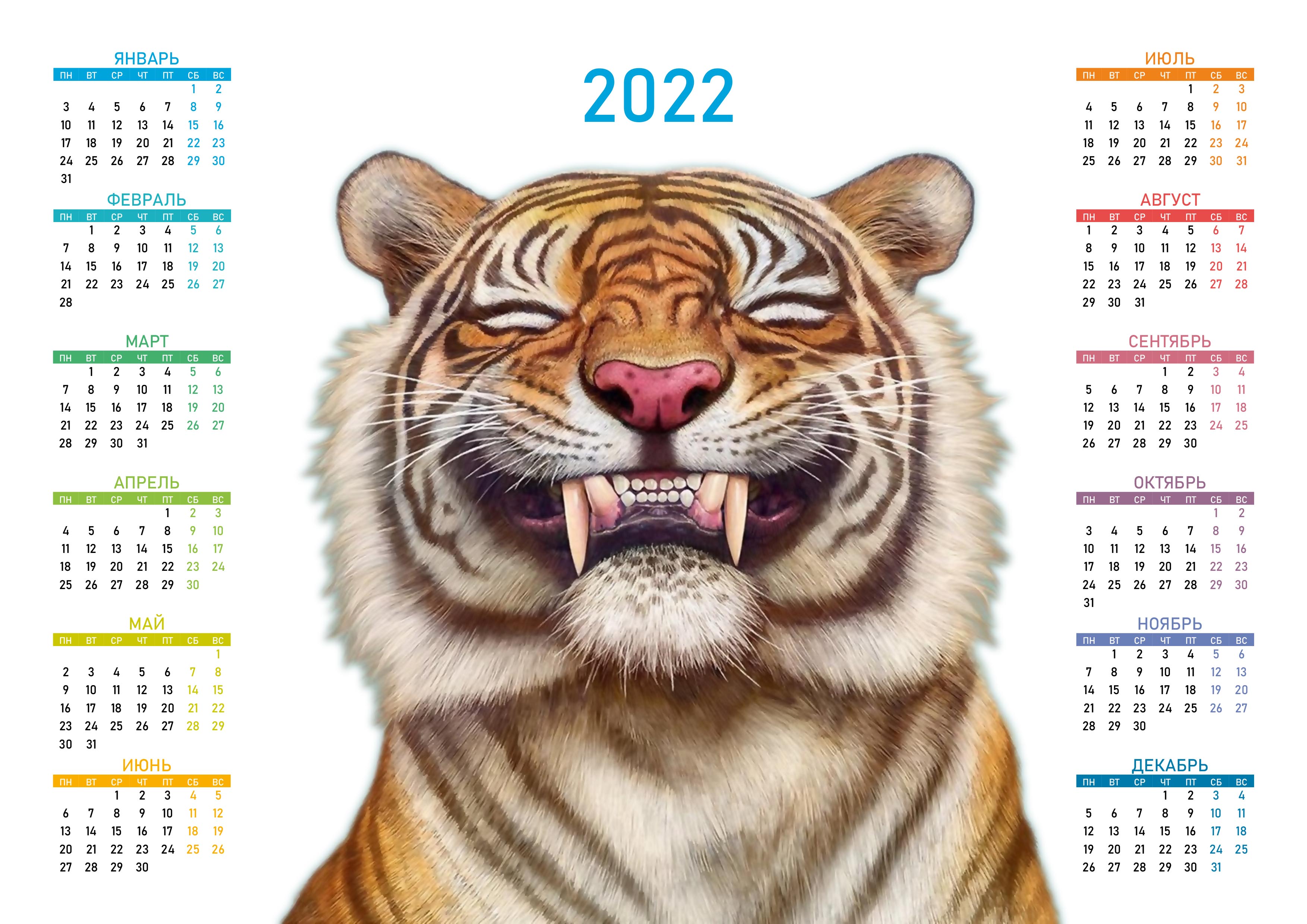 Wallpapers 2022 tiger cat on the desktop
