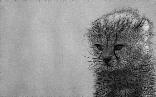 чертеж кошка животные