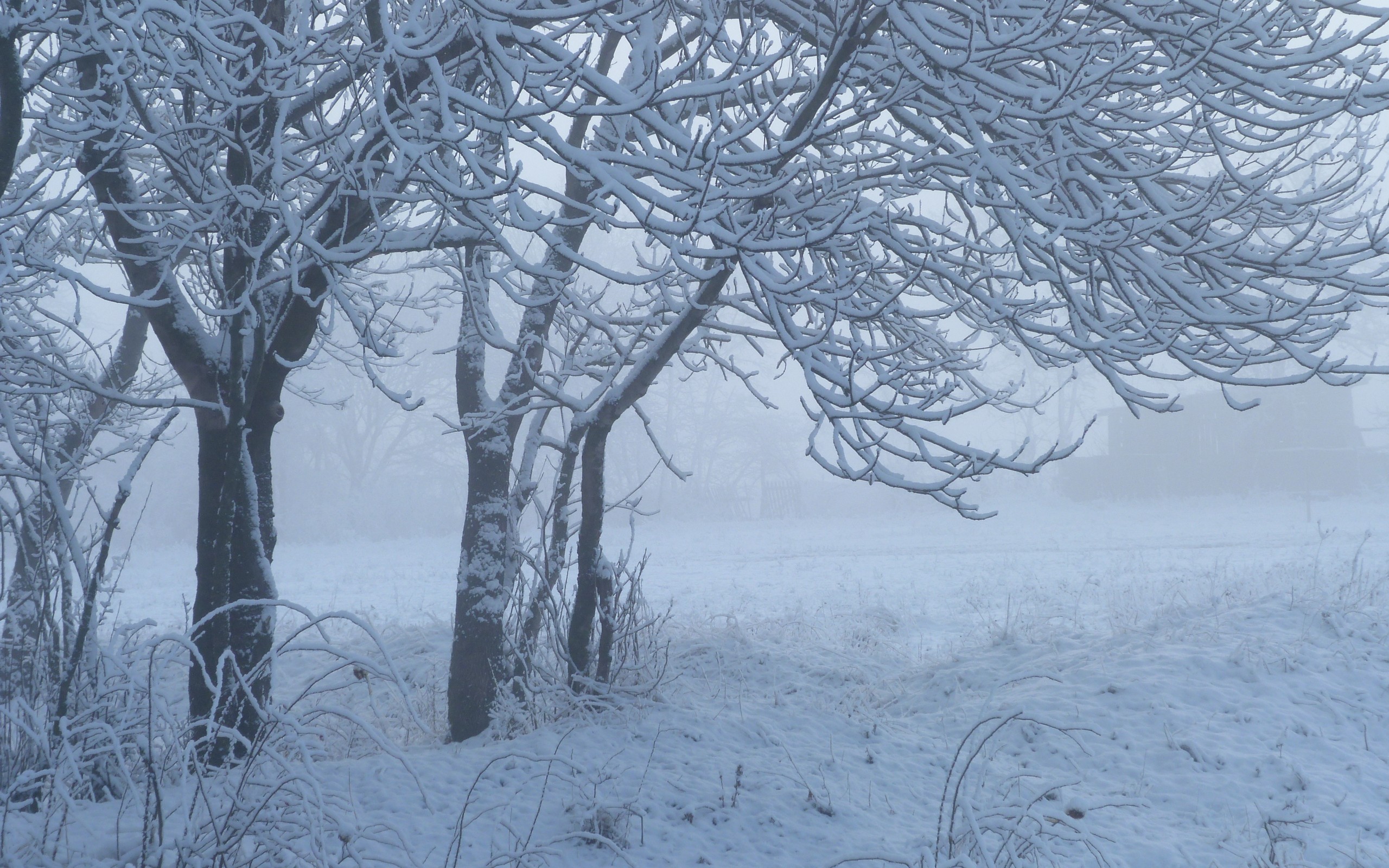 Зимние пейзажи: волшебная красота природных явлений
