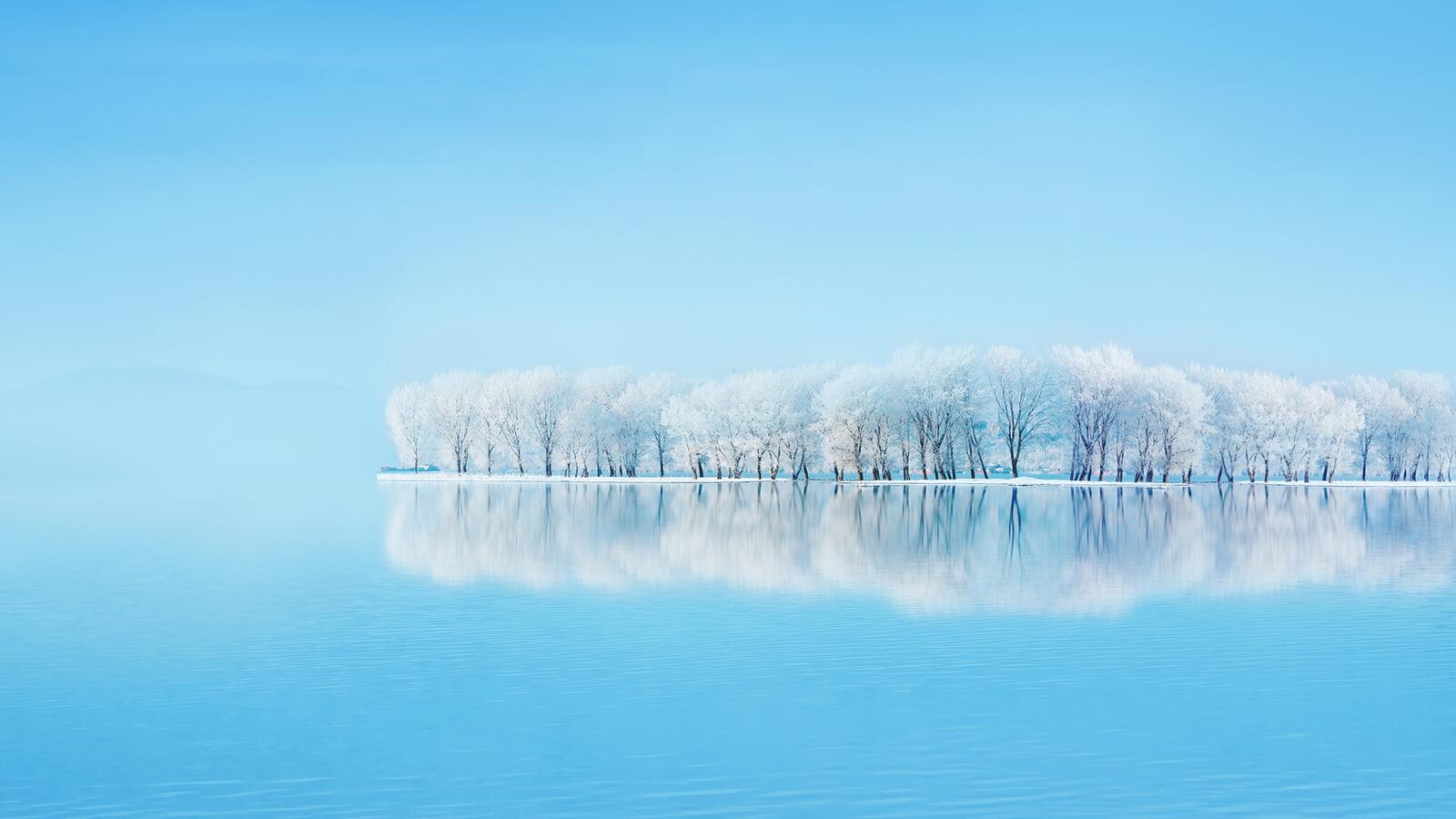 Обои замороженные деревья небо зима на рабочий стол