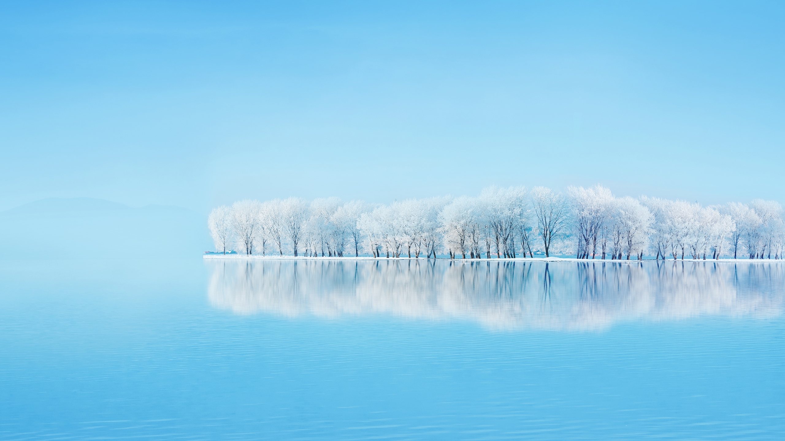 Обои замороженные деревья небо зима на рабочий стол