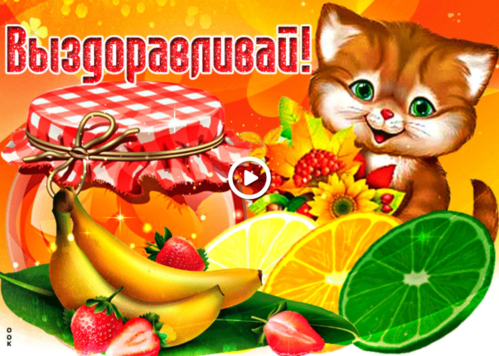 A postcard on the subject of get well with fruit red cat food for free