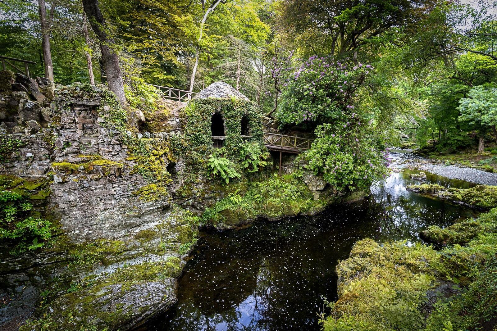 Wallpapers Forest Park Tollymore Northern Ireland on the desktop