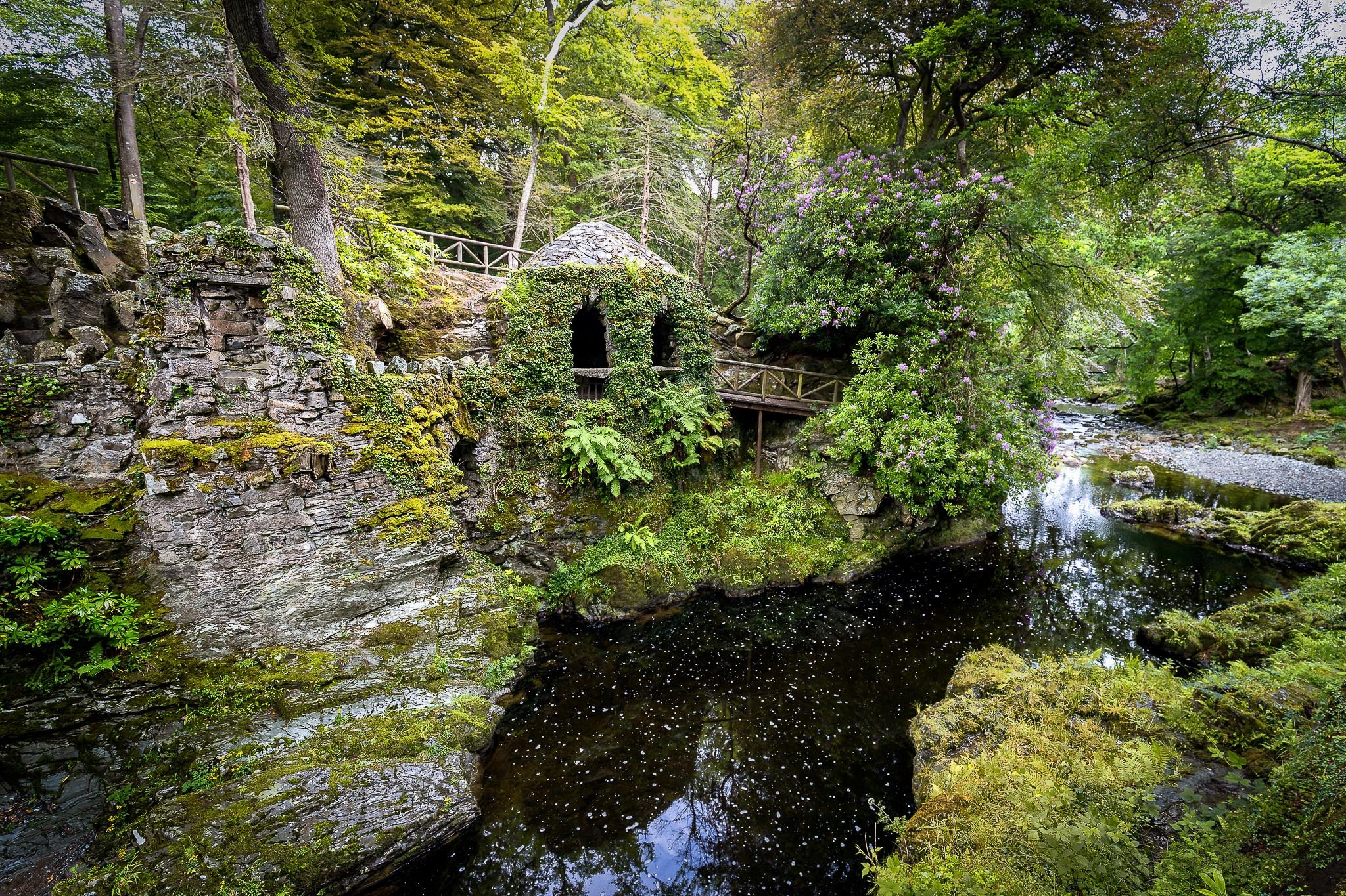 Фото Лесной парк Толлимор Северная Ирландия - бесплатные картинки на Fonwall