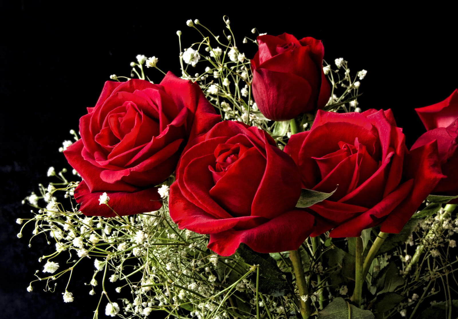 Wallpapers rose roses bouquet of roses on the desktop