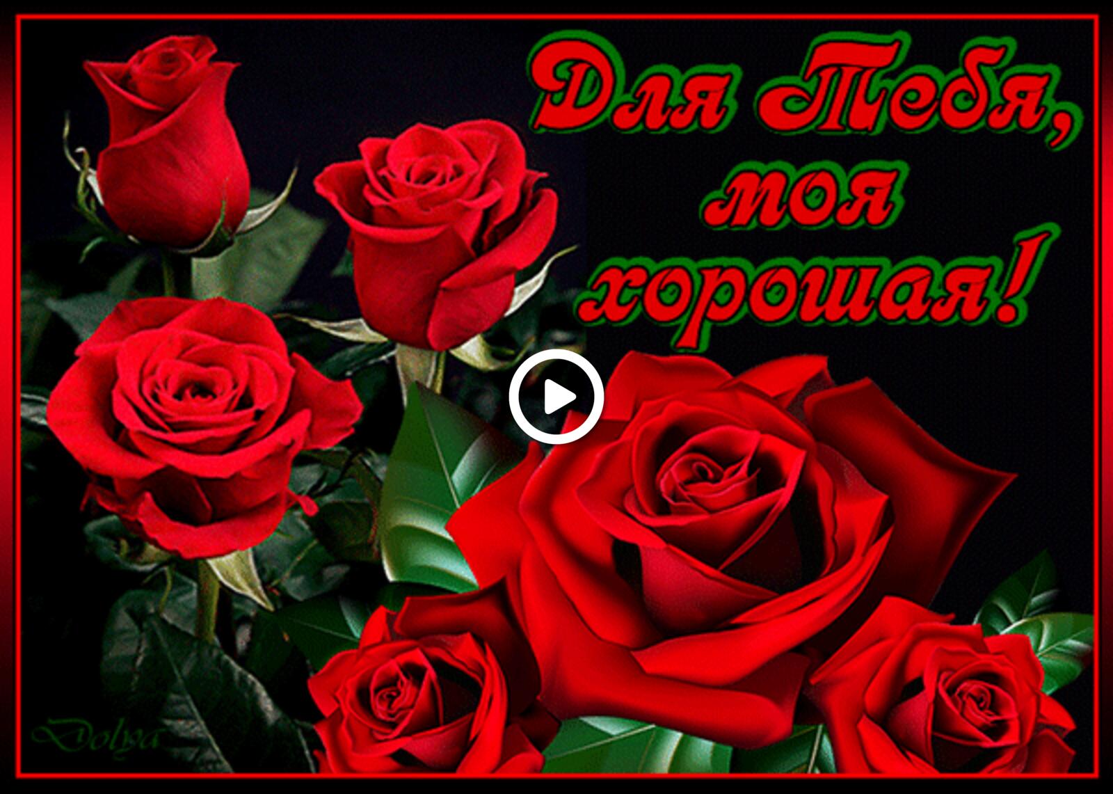 цветы розы для тебя