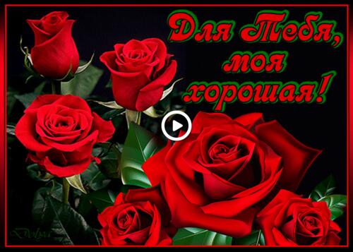 flowers roses for you
