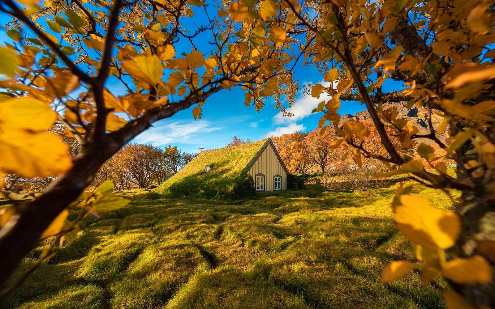 Обои Исландия церковь осень на рабочий стол