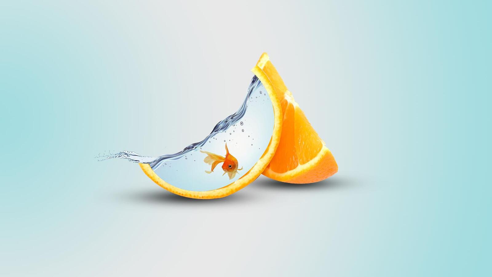 Wallpapers orange artist fish on the desktop