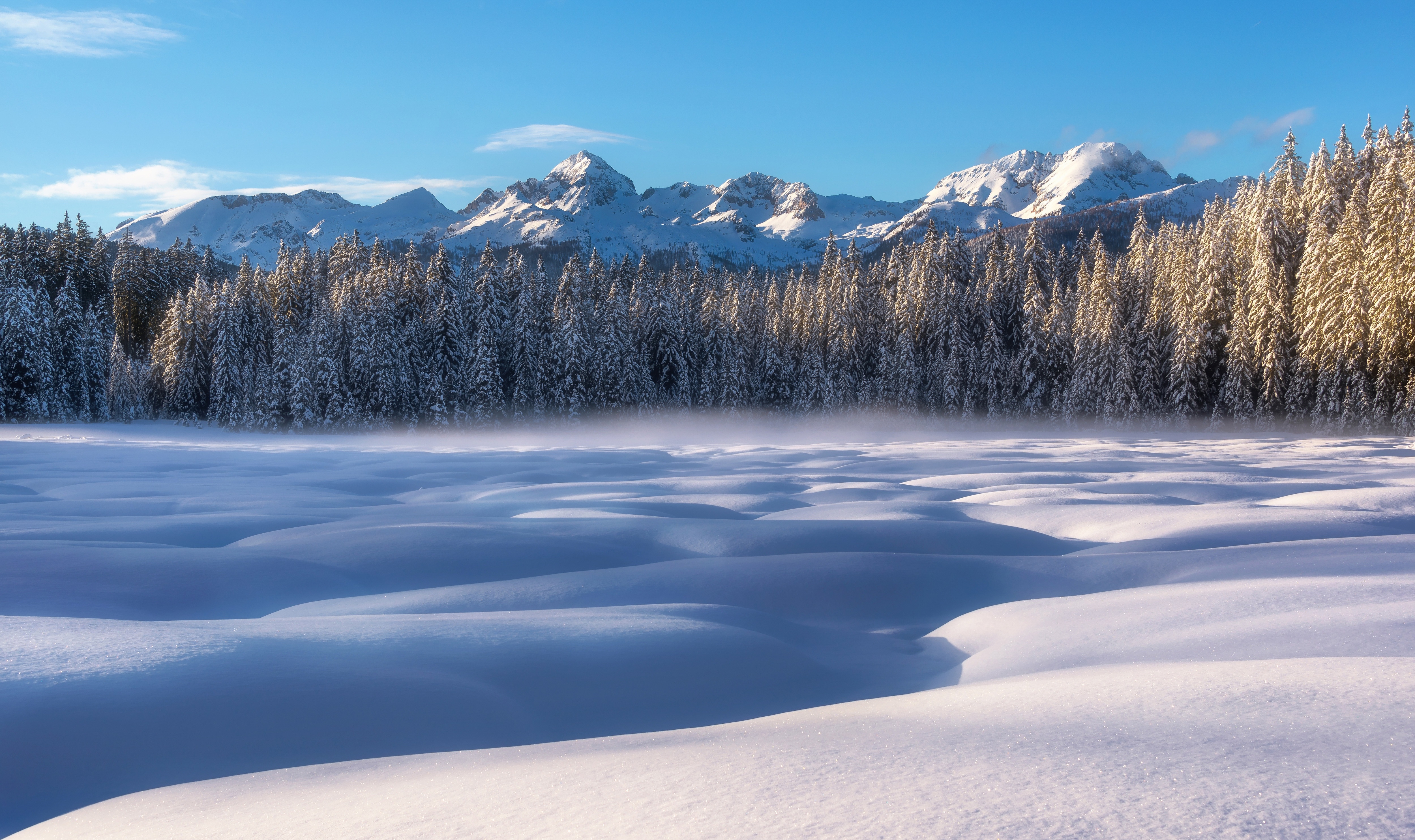 Бесплатное фото Скачать снег, деревья, горы обои на телефон бесплатно