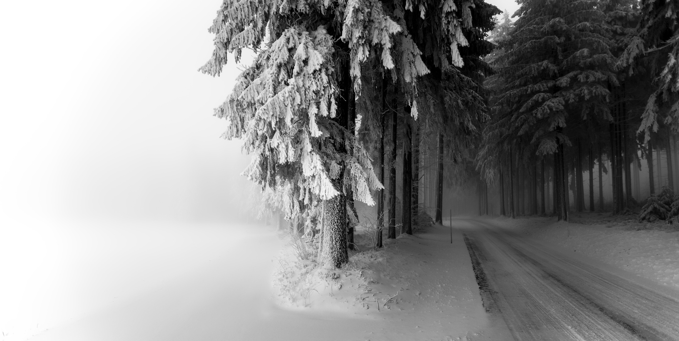 Автомобильная дорога по снежному лесу