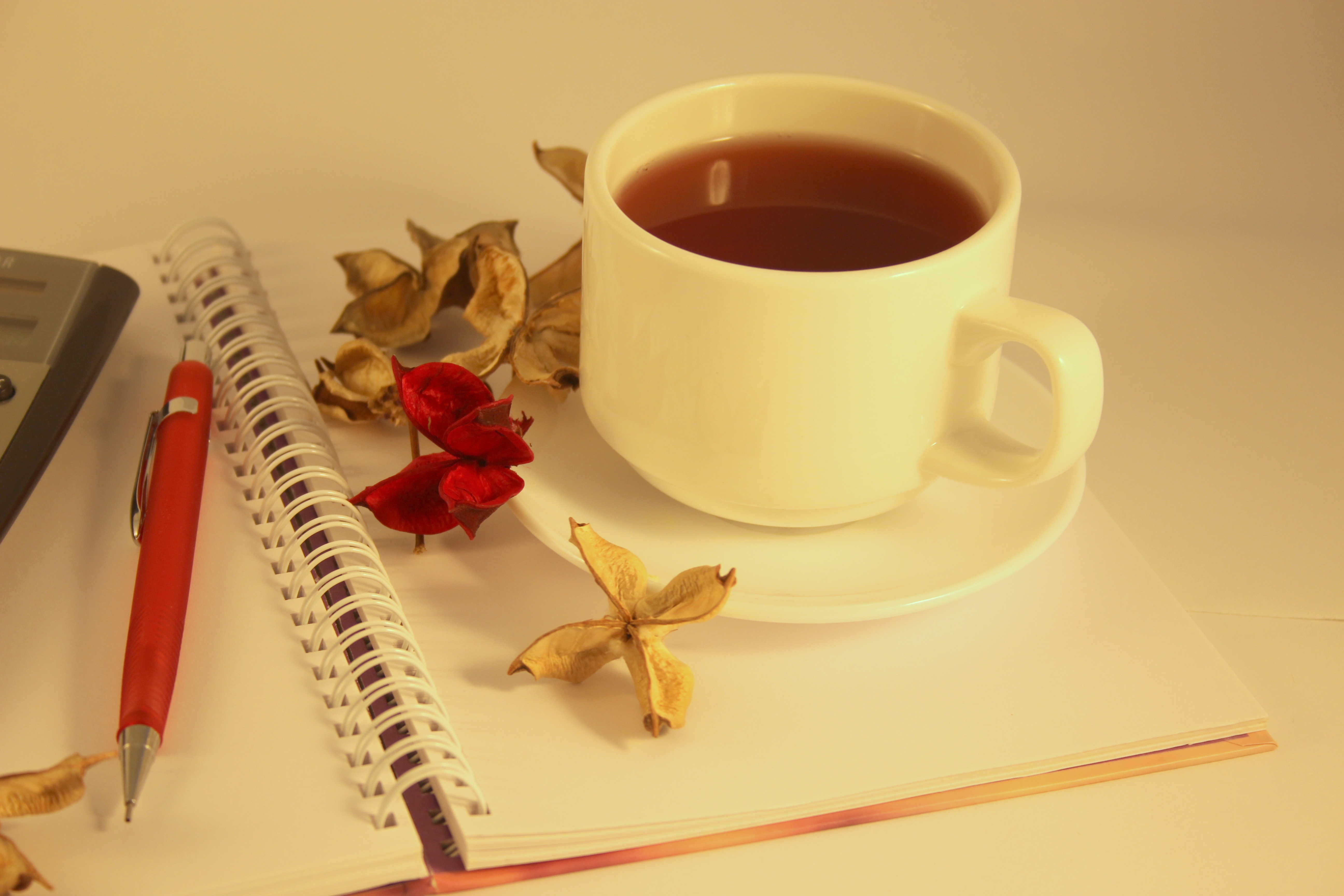 Photo free tea, morning, pen