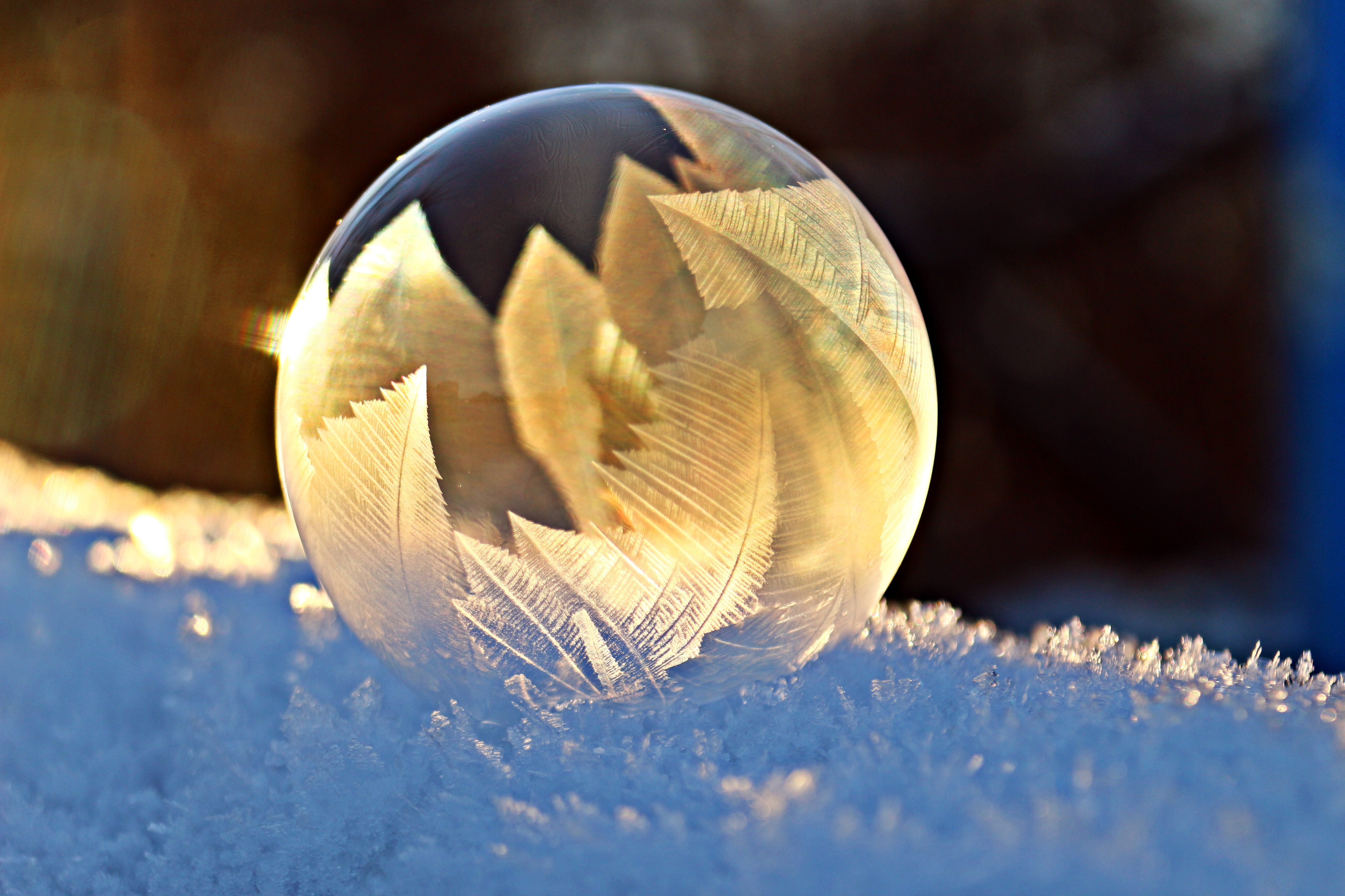 Фото бесплатно пузырь, холодный, мыльный пузырь