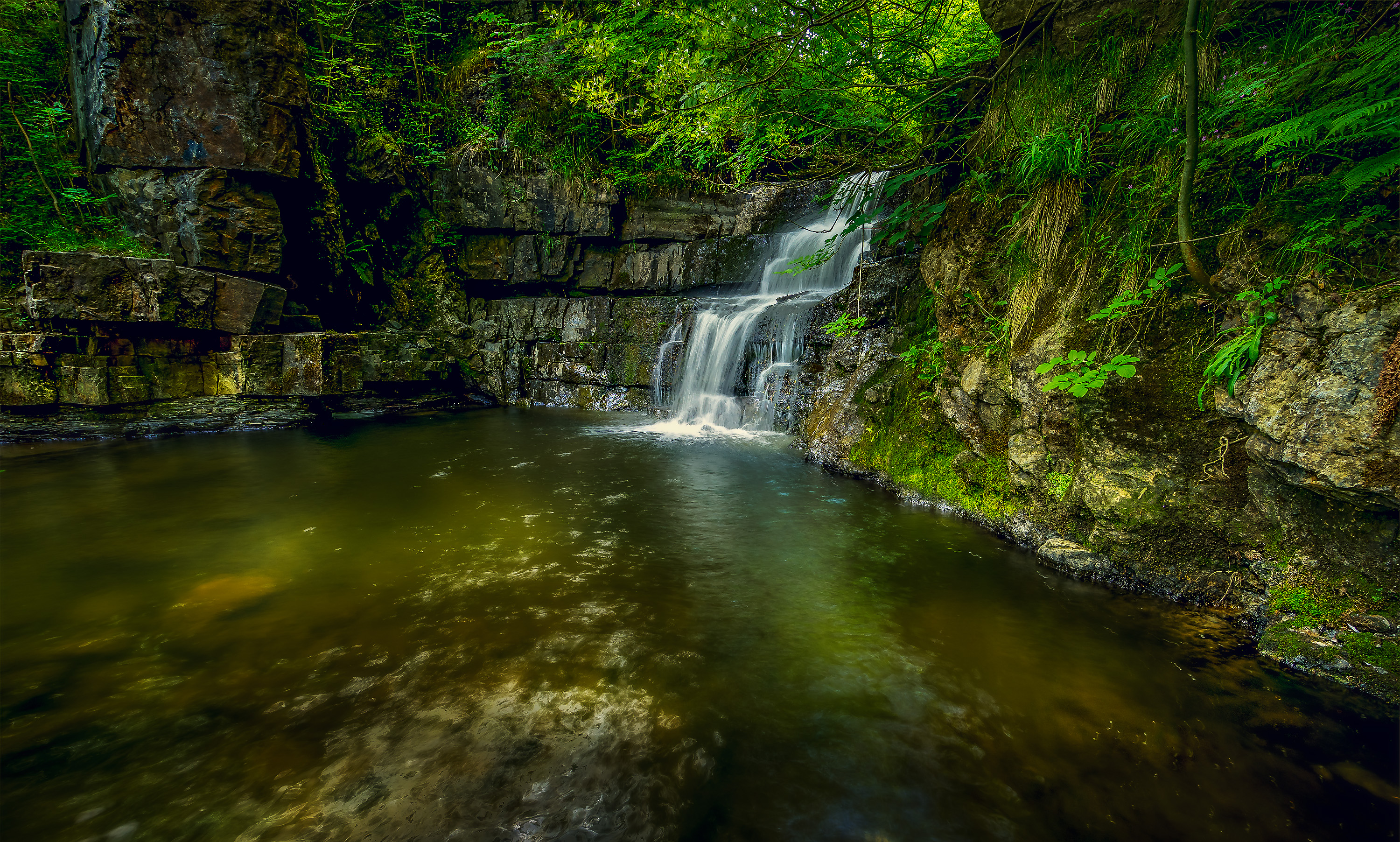 免费照片免费观看森林、瀑布、岩石的照片