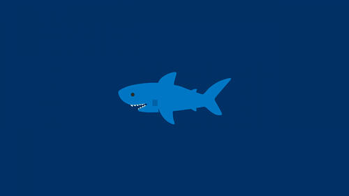 鲨鱼的绘画