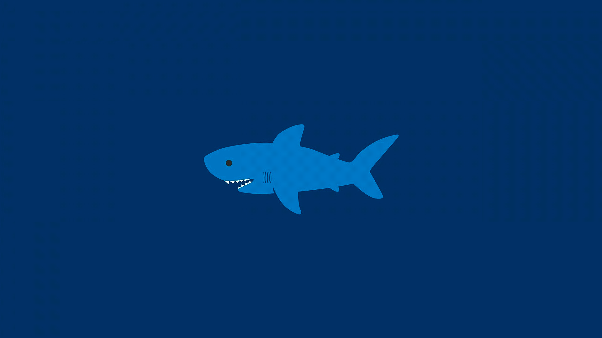 免费照片鲨鱼的绘画