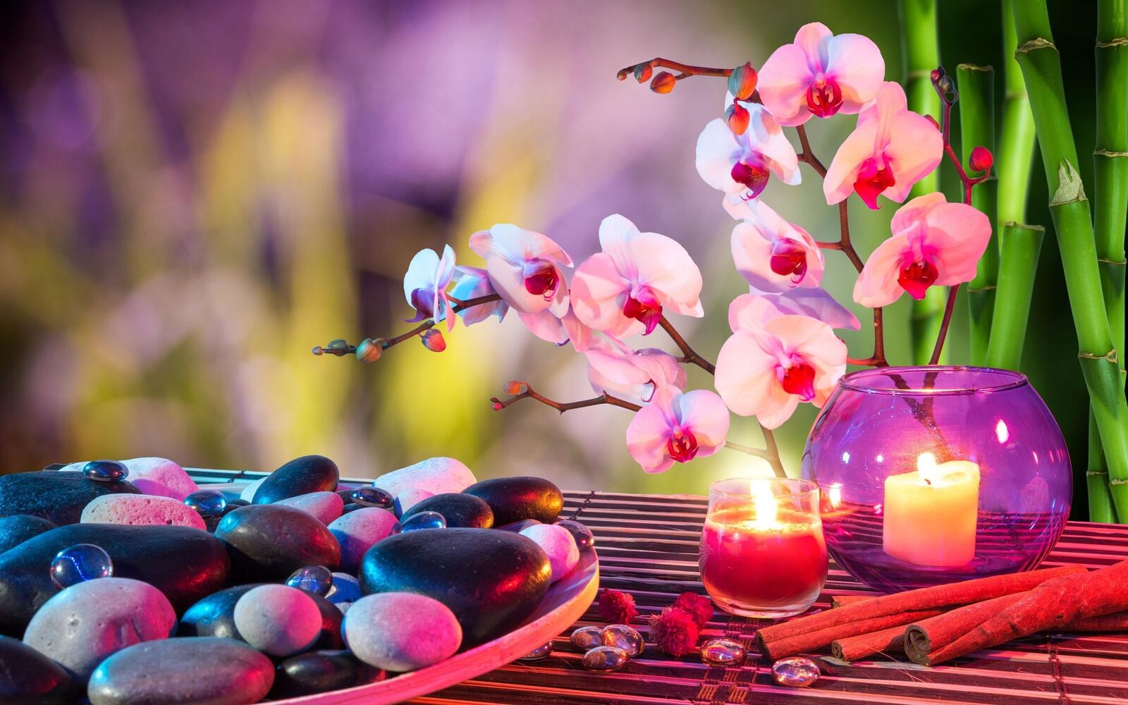 Wallpapers orchids candles stones on the desktop