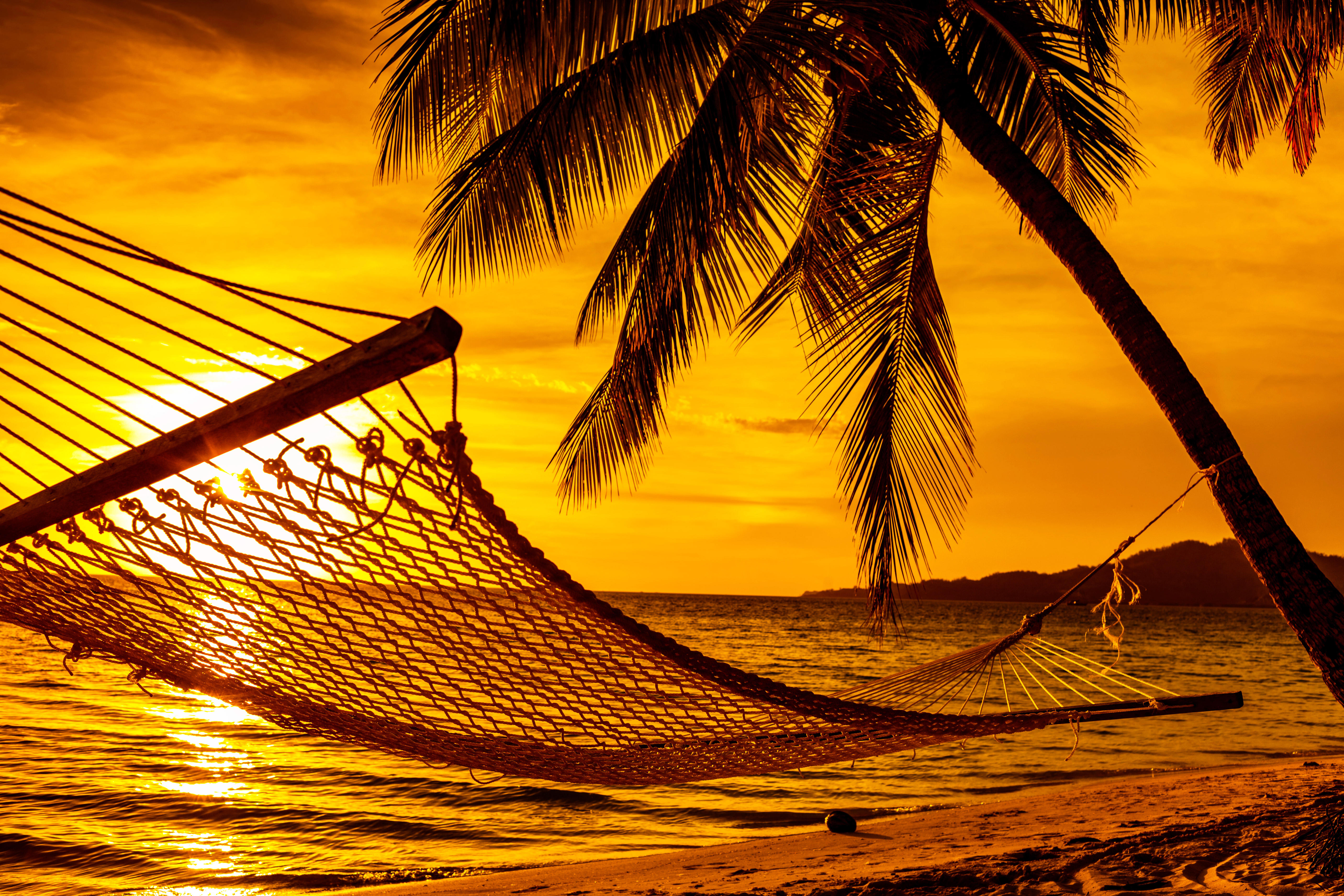 Wallpapers beach hammock sunset on the desktop
