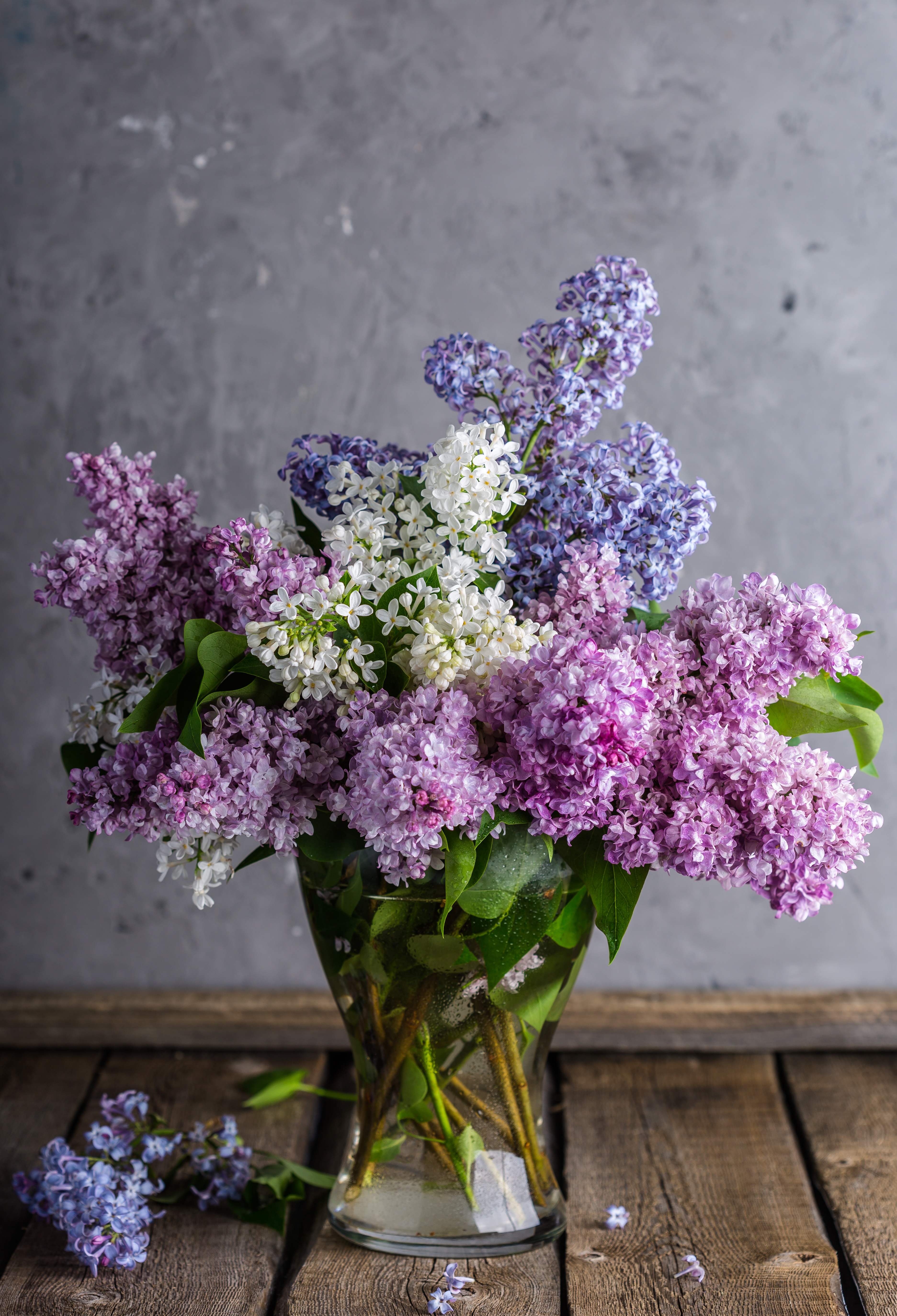 Lilac flowers in a vase