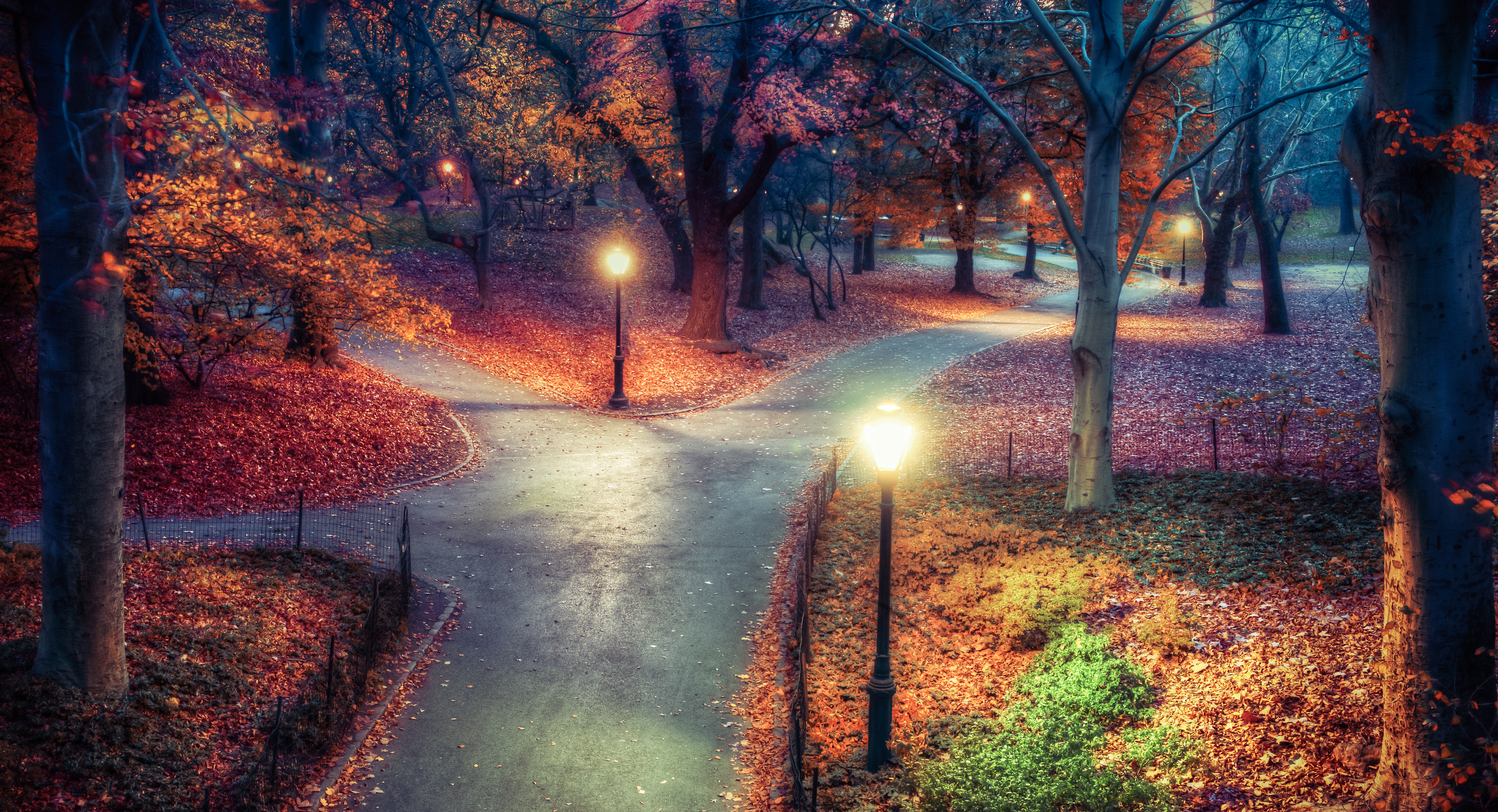 Wallpapers New York central park autumn night on the desktop