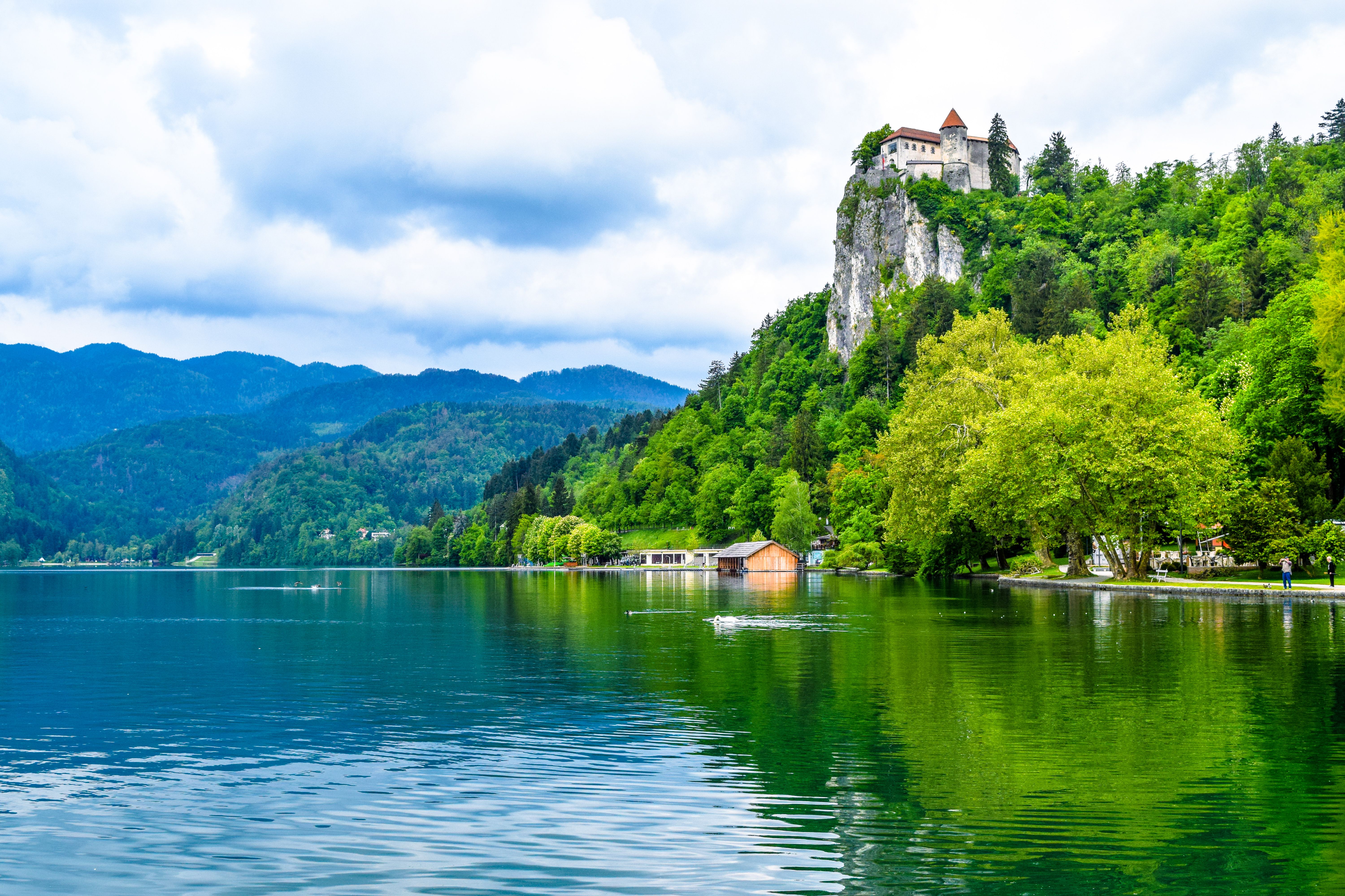 Wallpapers Bled Lake Bled Slovenia on the desktop