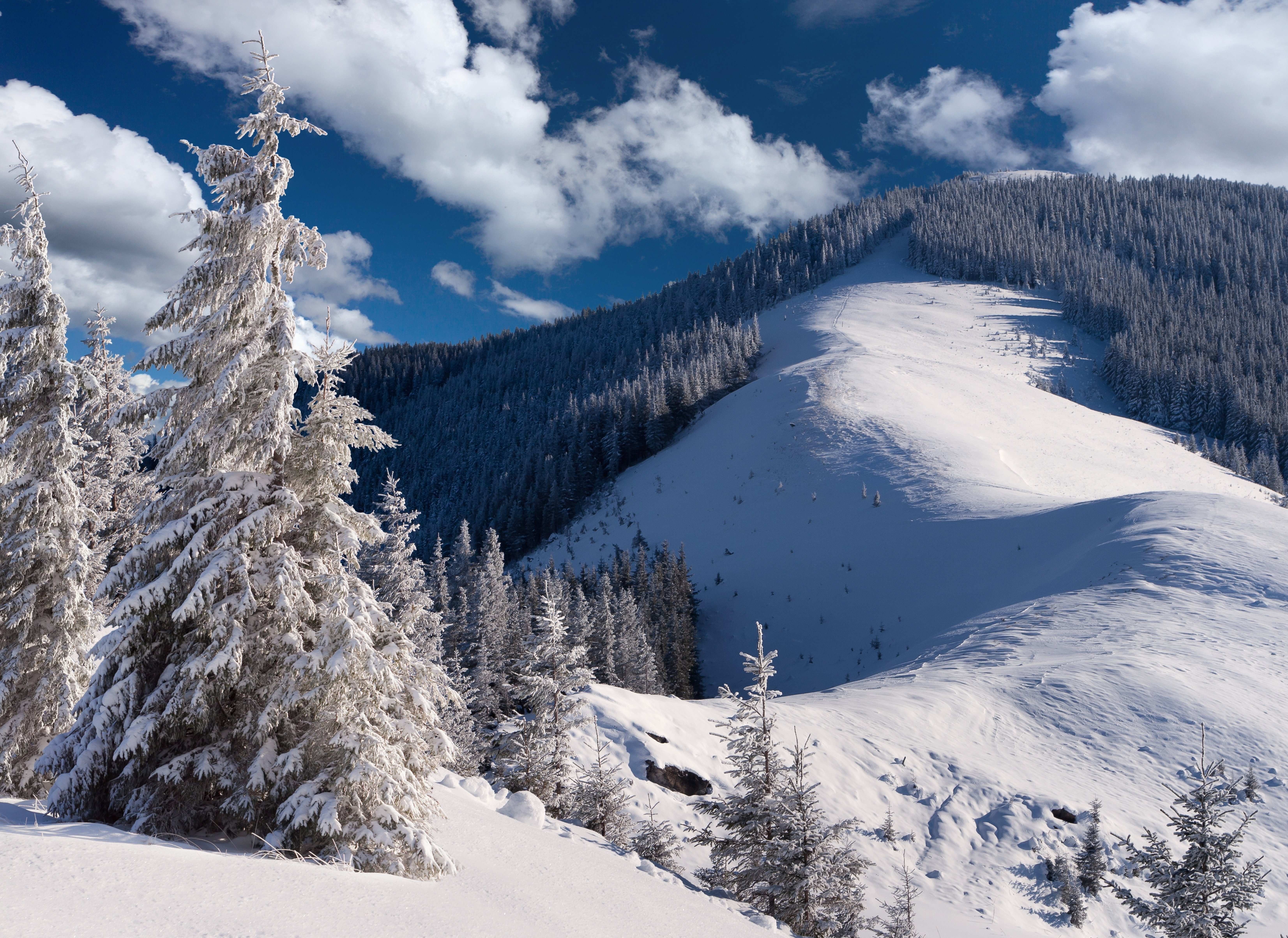 Пейзаж, природа, снег · бесплатная фотография