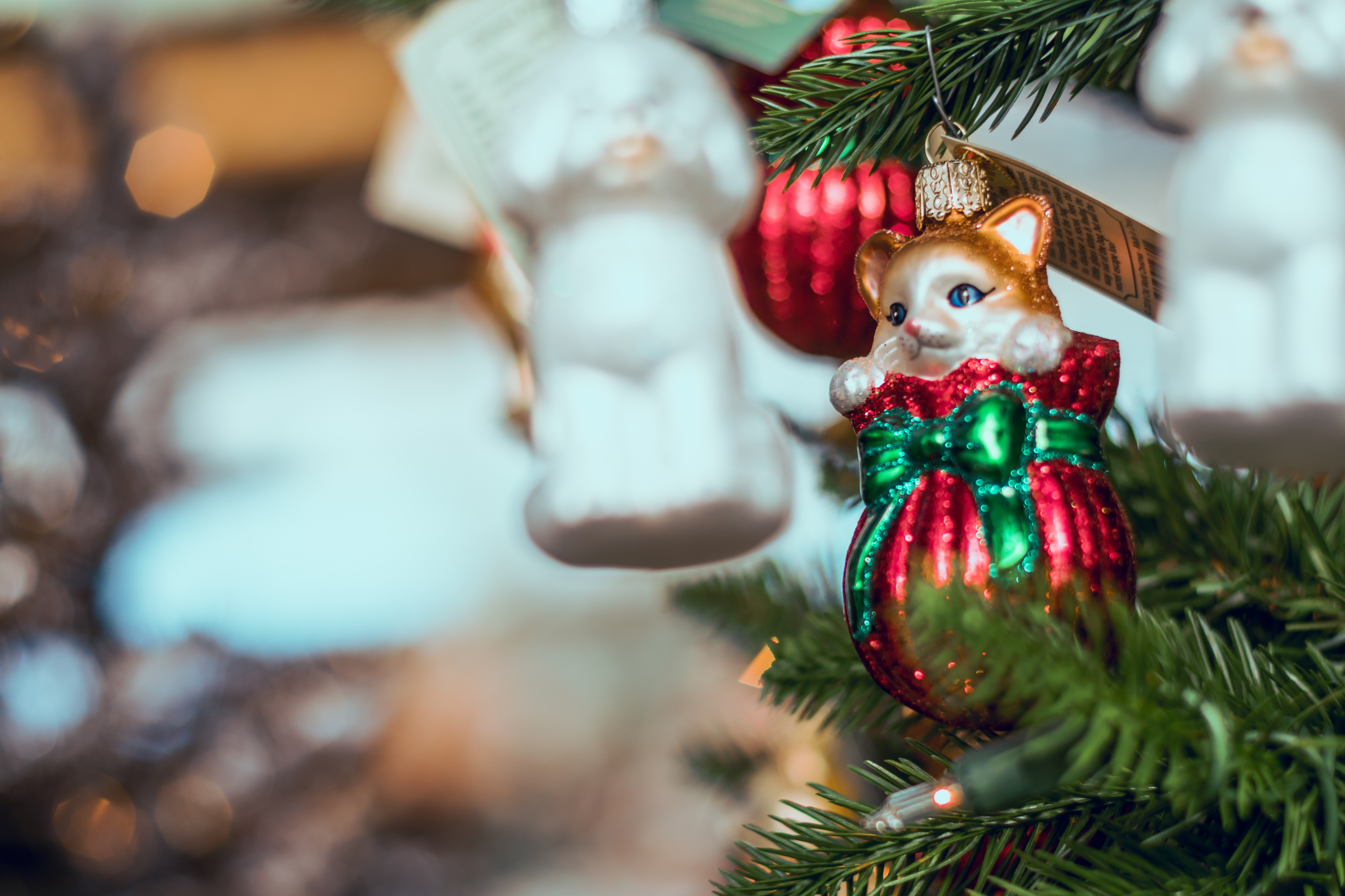 Обои Рождество 2019 украшения кошка на рабочий стол