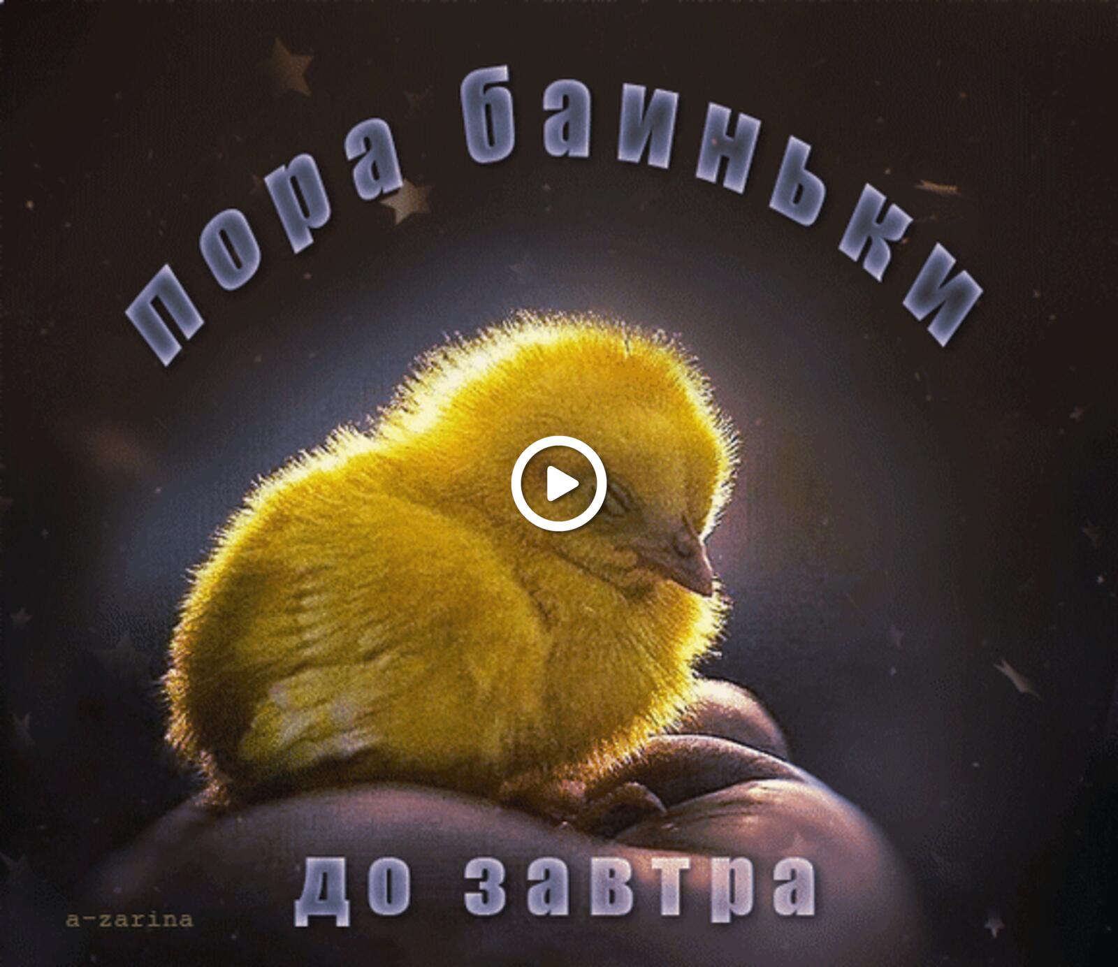 一张以晚安 鸡 动画为主题的明信片