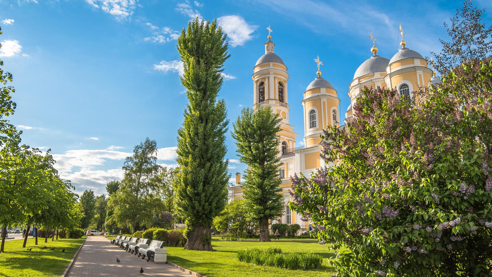 Обои The Prince St Vladimir s Cathedral Saint-Petersburg город на рабочий стол
