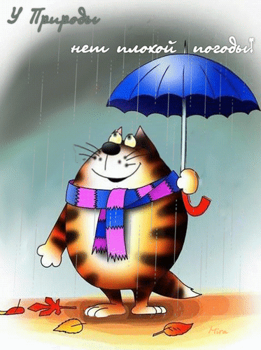 Postcard free umbrella, rain, animation
