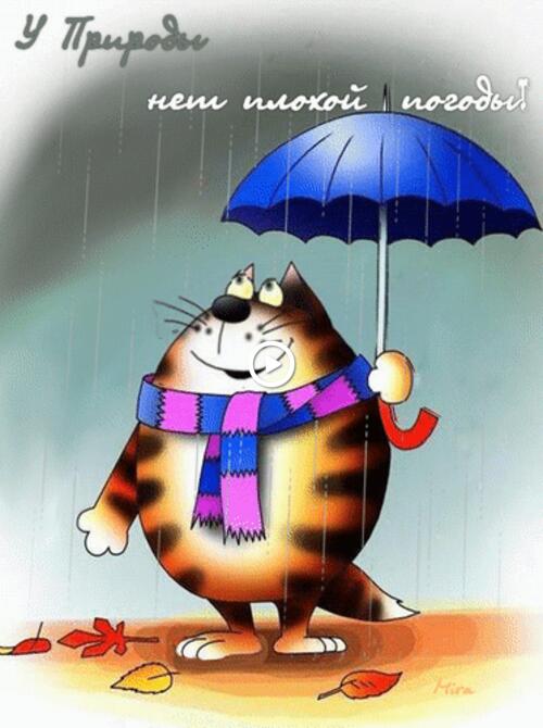 umbrella rain animation