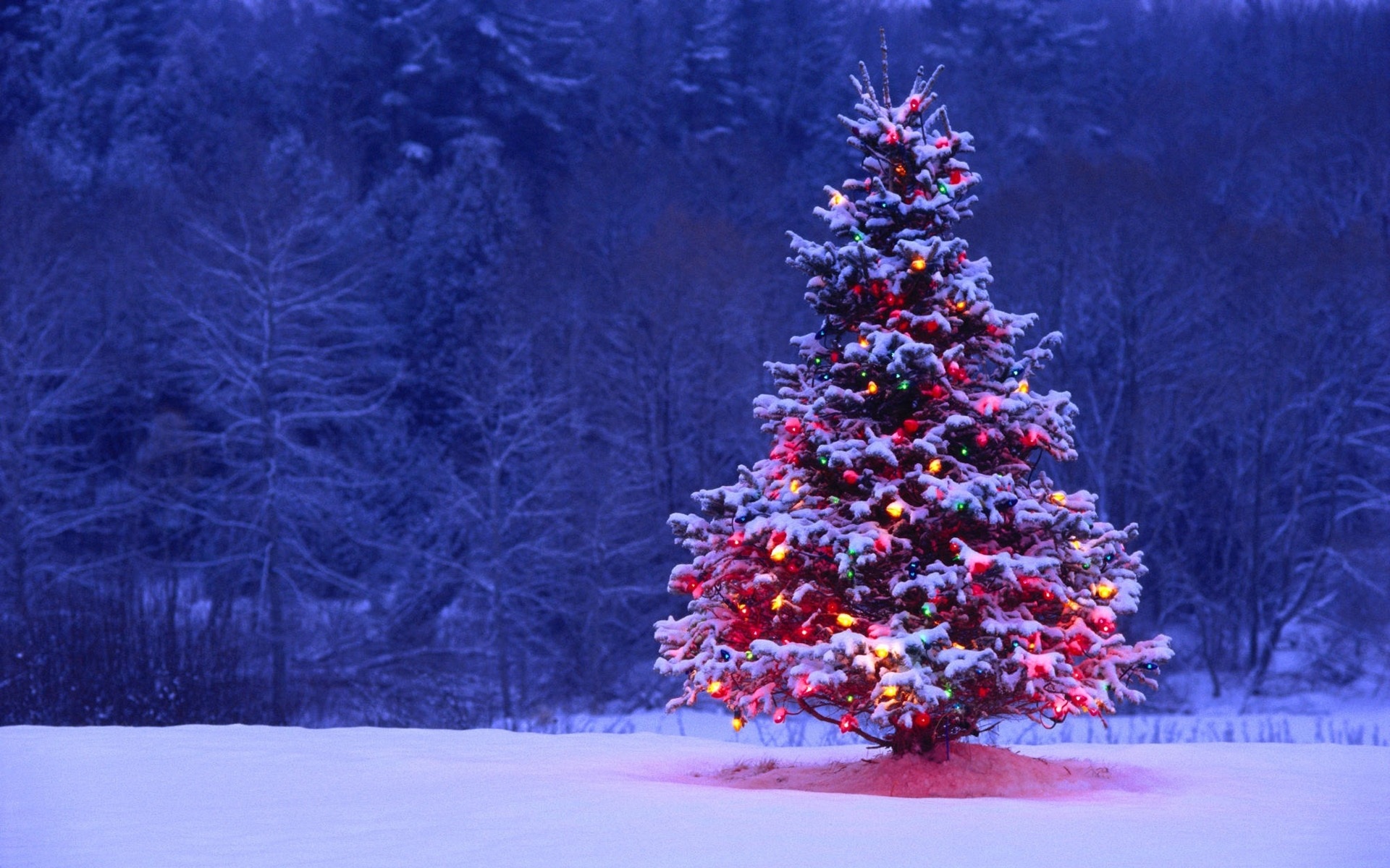 Фото бесплатно атмосфера праздника, снег, рождественская елка