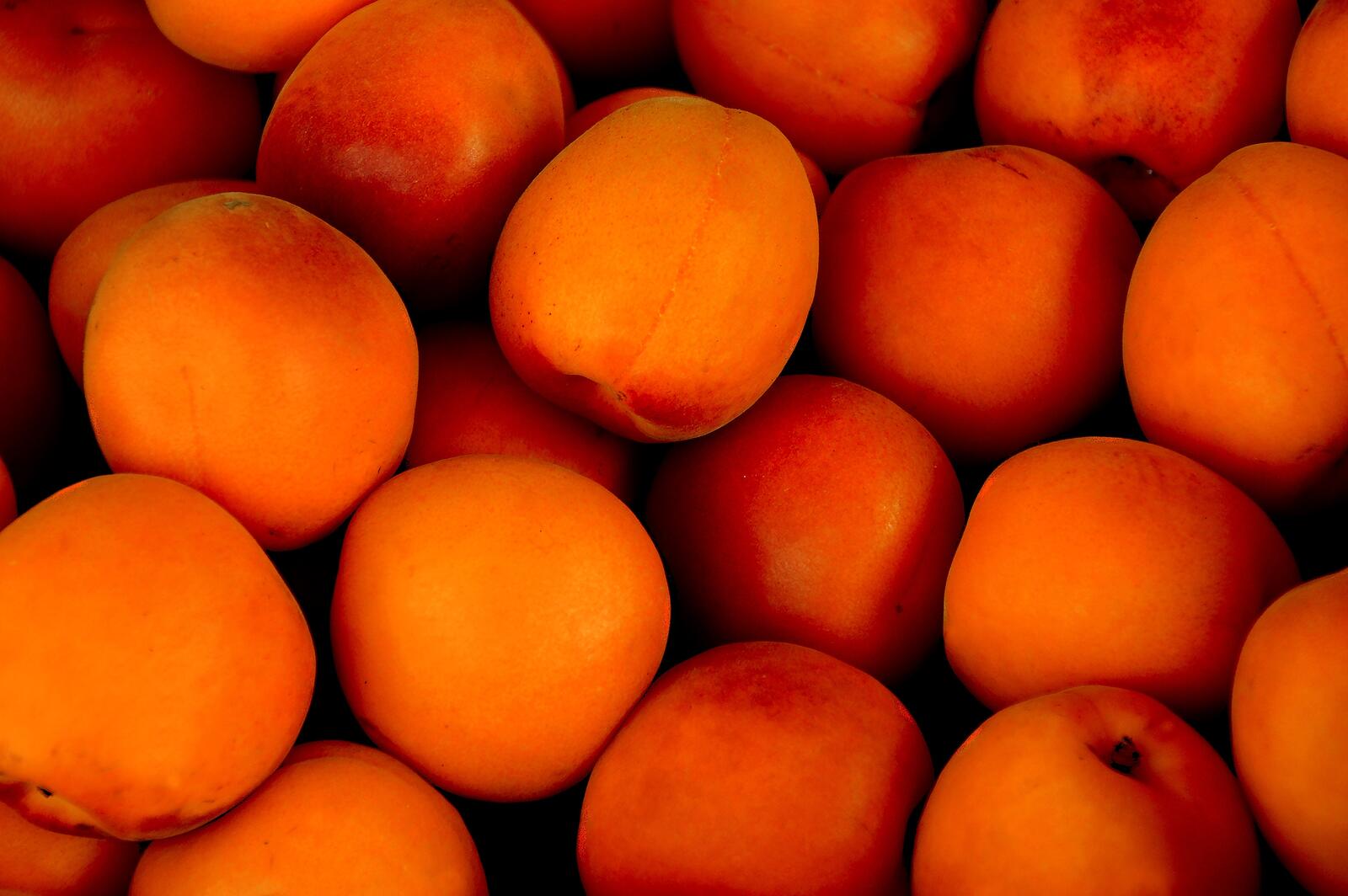 Wallpapers wallpaper apricots fruits sweet on the desktop