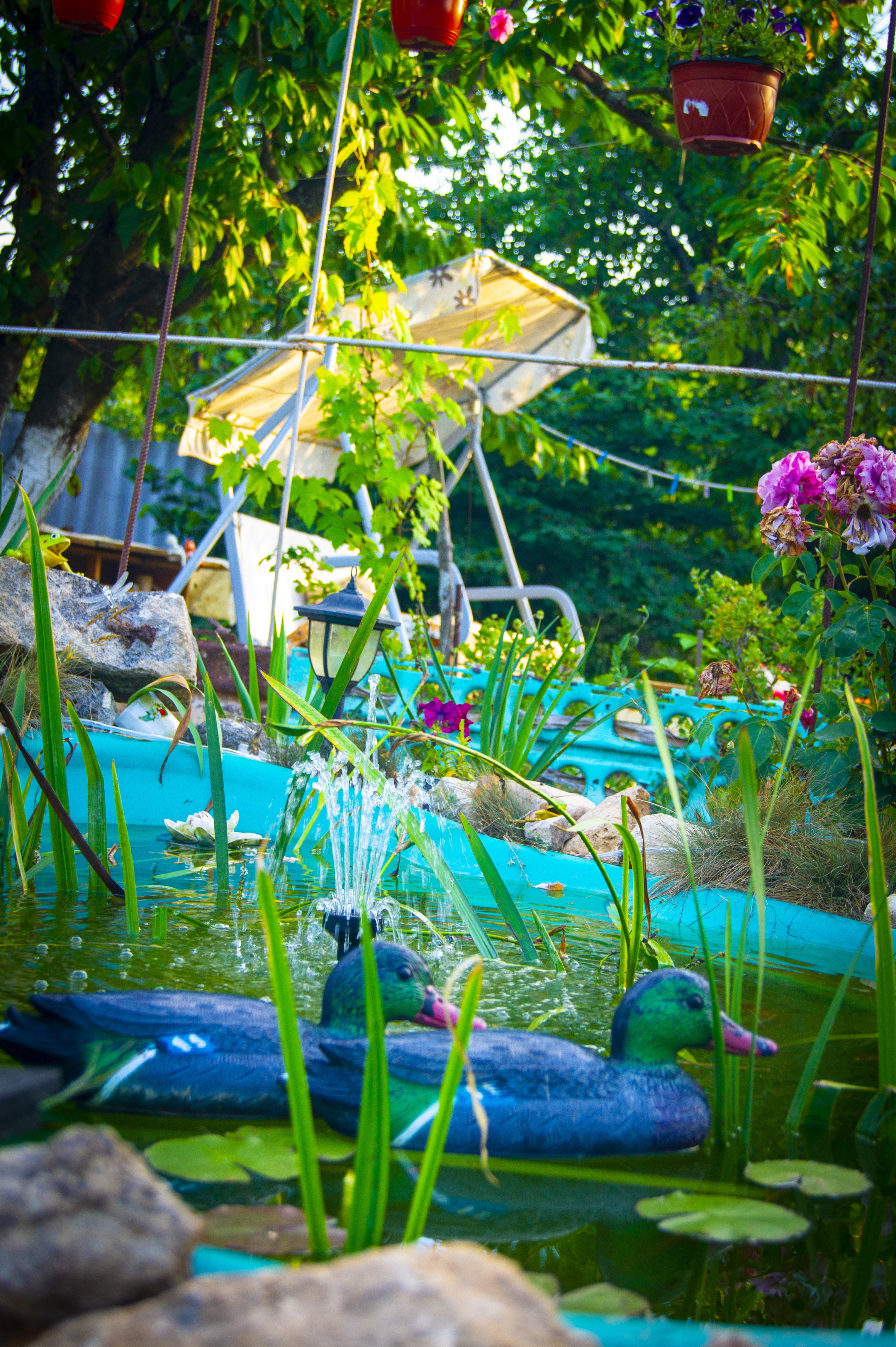 Пруд в саду с фонтанчиком и уточками