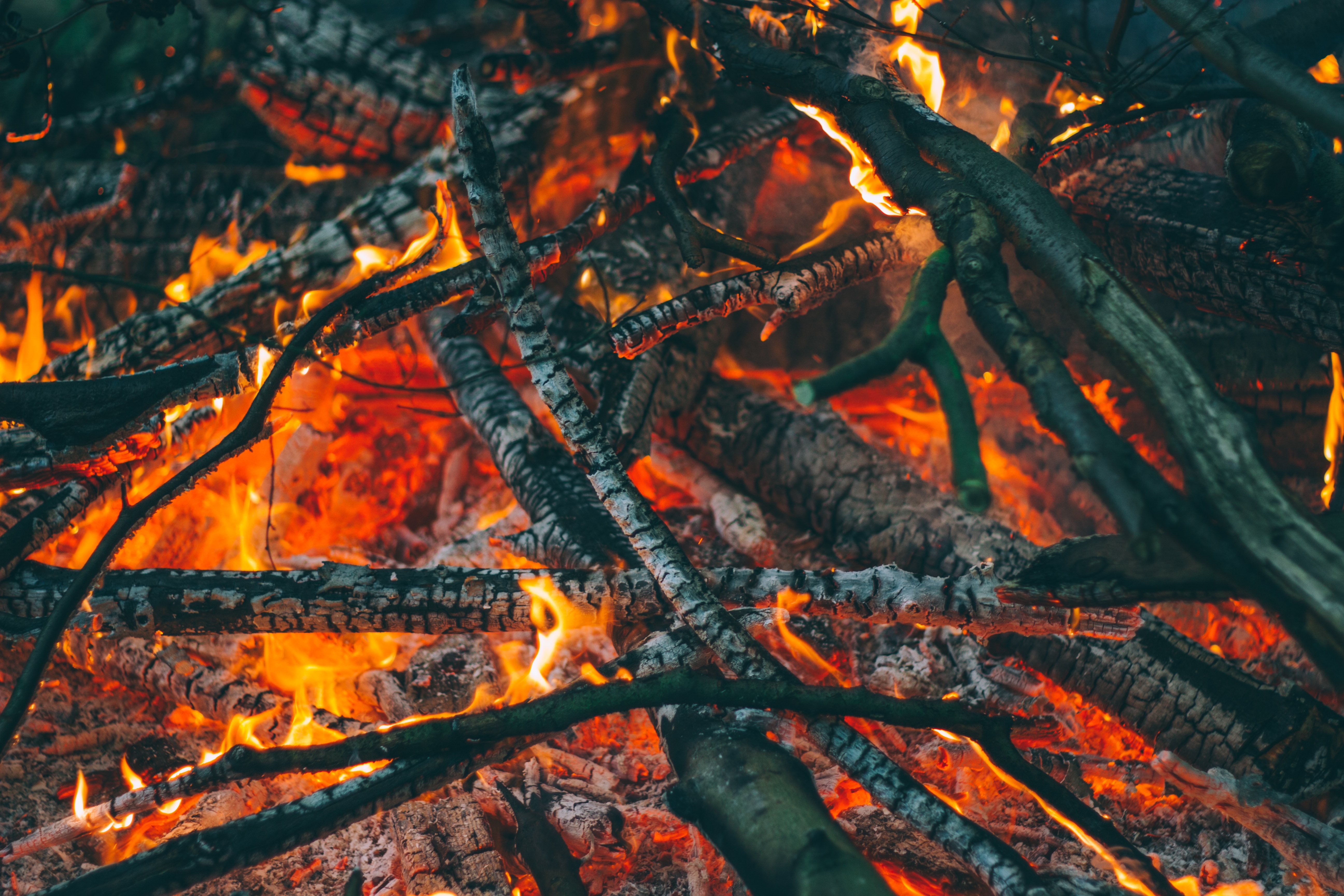 篝火中燃烧的树枝壁纸