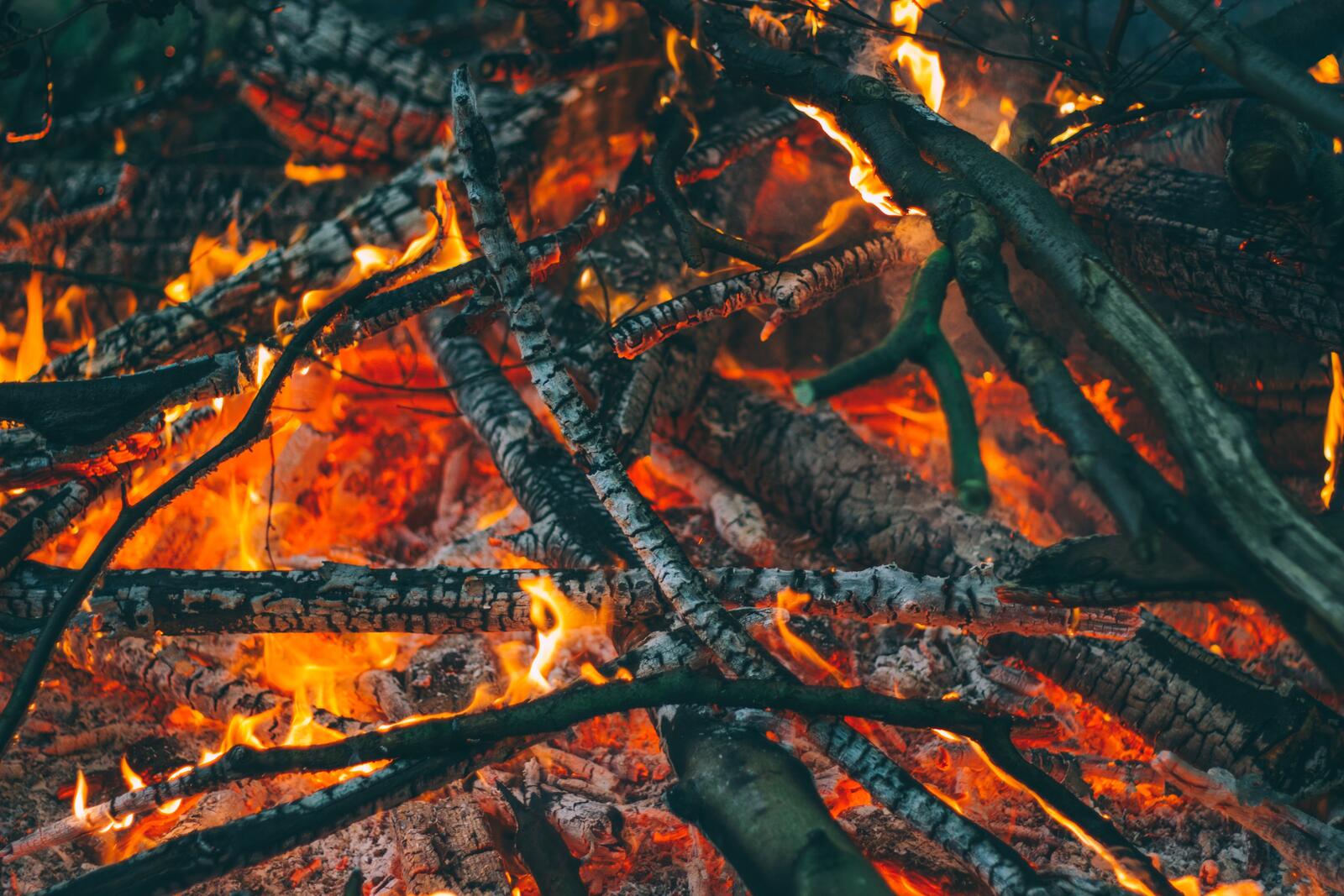 Free photo Wallpaper with smoldering branches in a bonfire