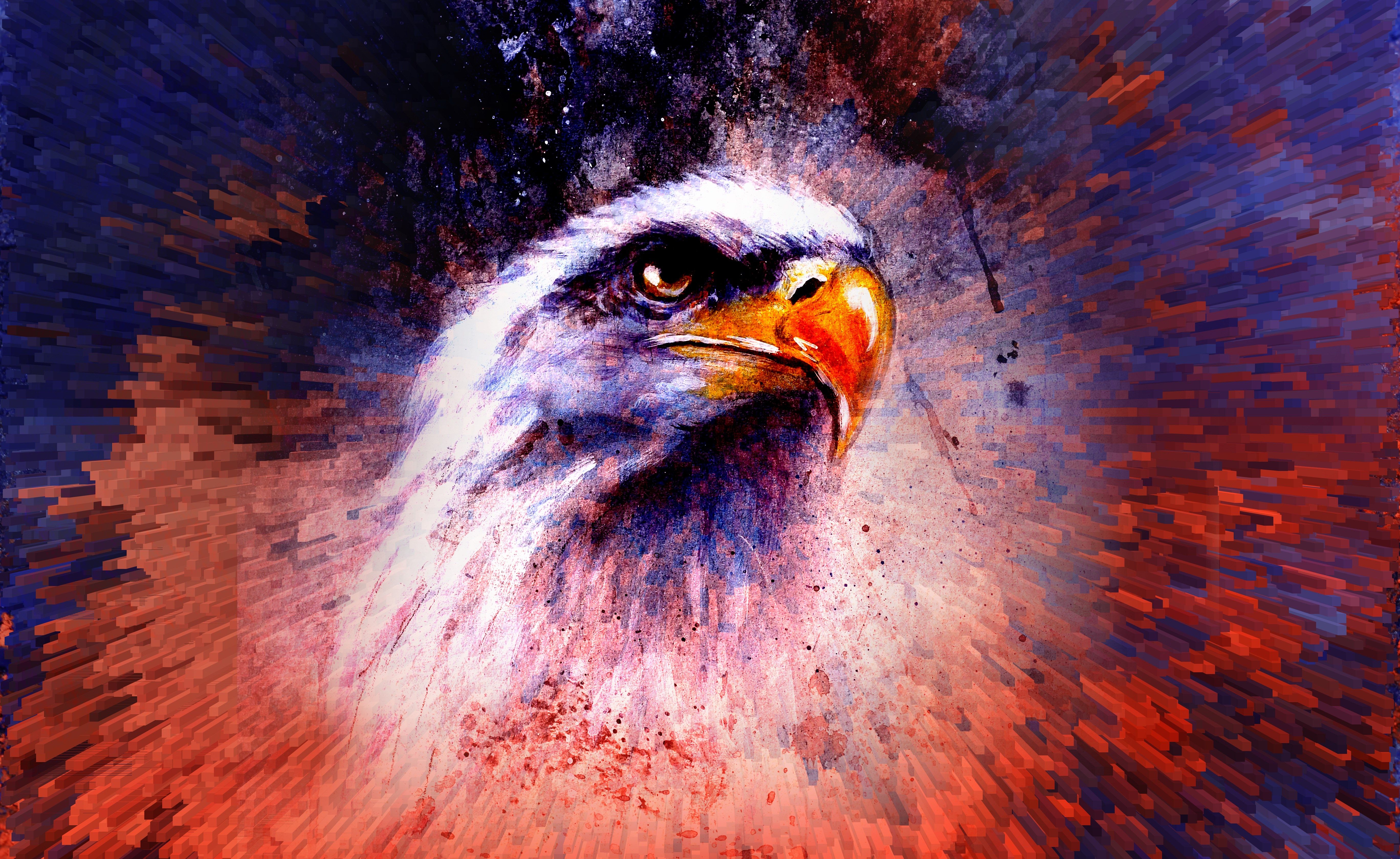 Wallpapers eagle drawing graphics on the desktop