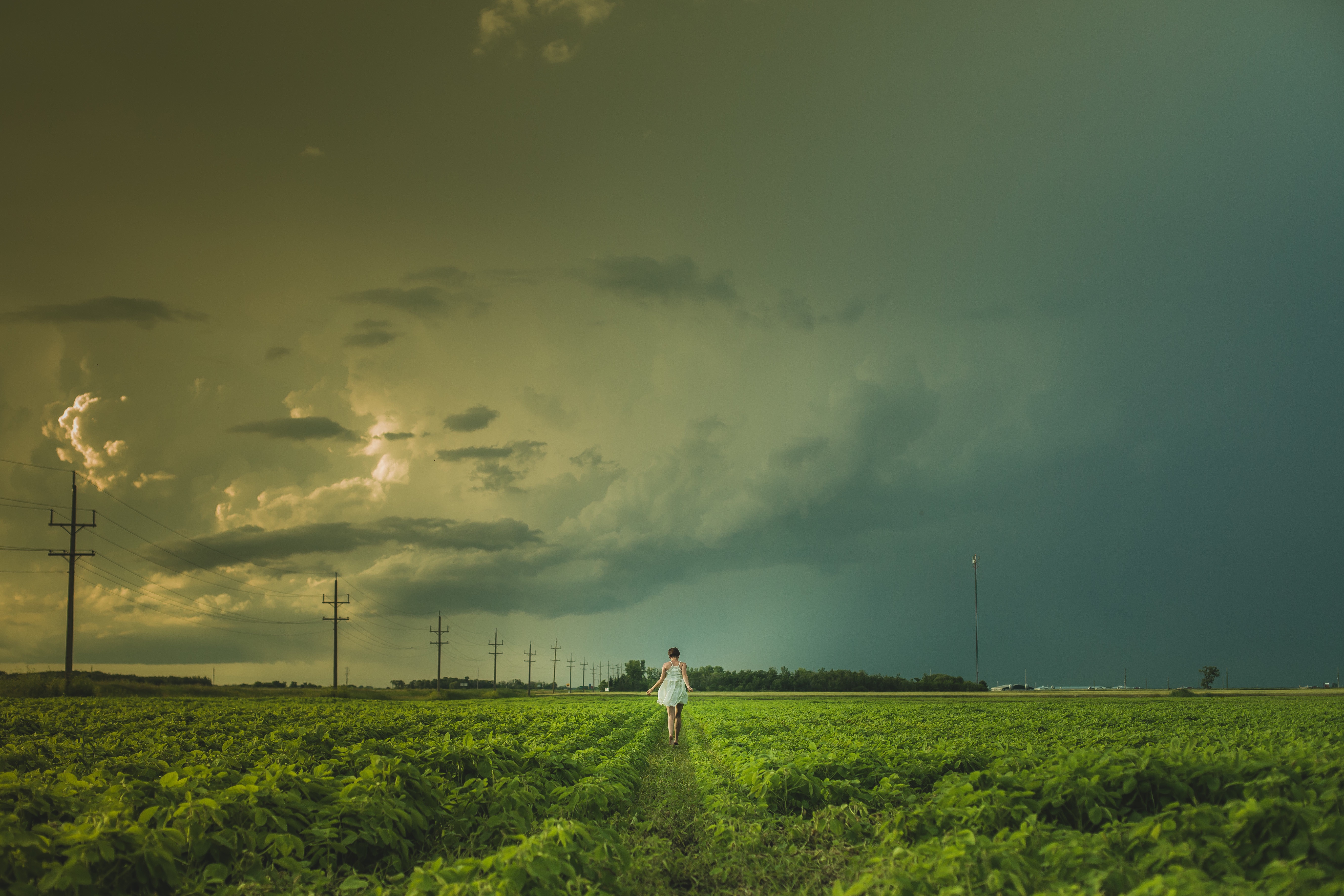 Самое сильное поле. Niverville, Manitoba. Гроза в поле. Атмосферное поле. Буря в поле.