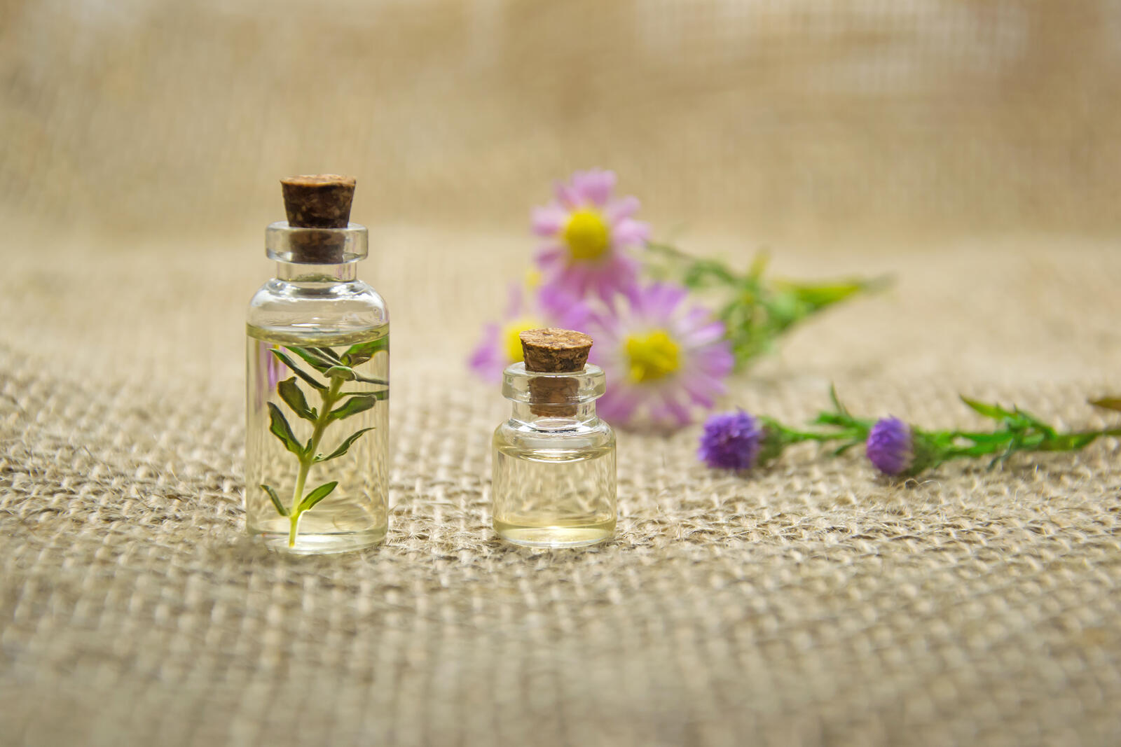 Wallpapers aromatherapy cosmetic oil essential oil on the desktop